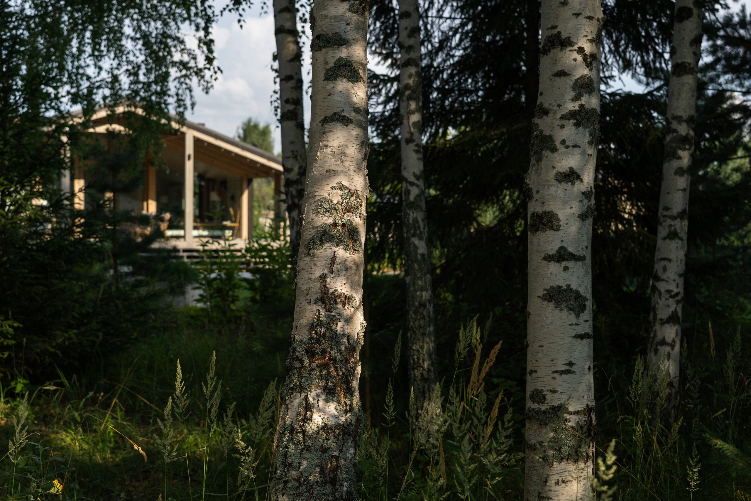 Private house, Tver region, Konakovo. Артамонов Александр | Архитектурный и ландшафтный фотограф