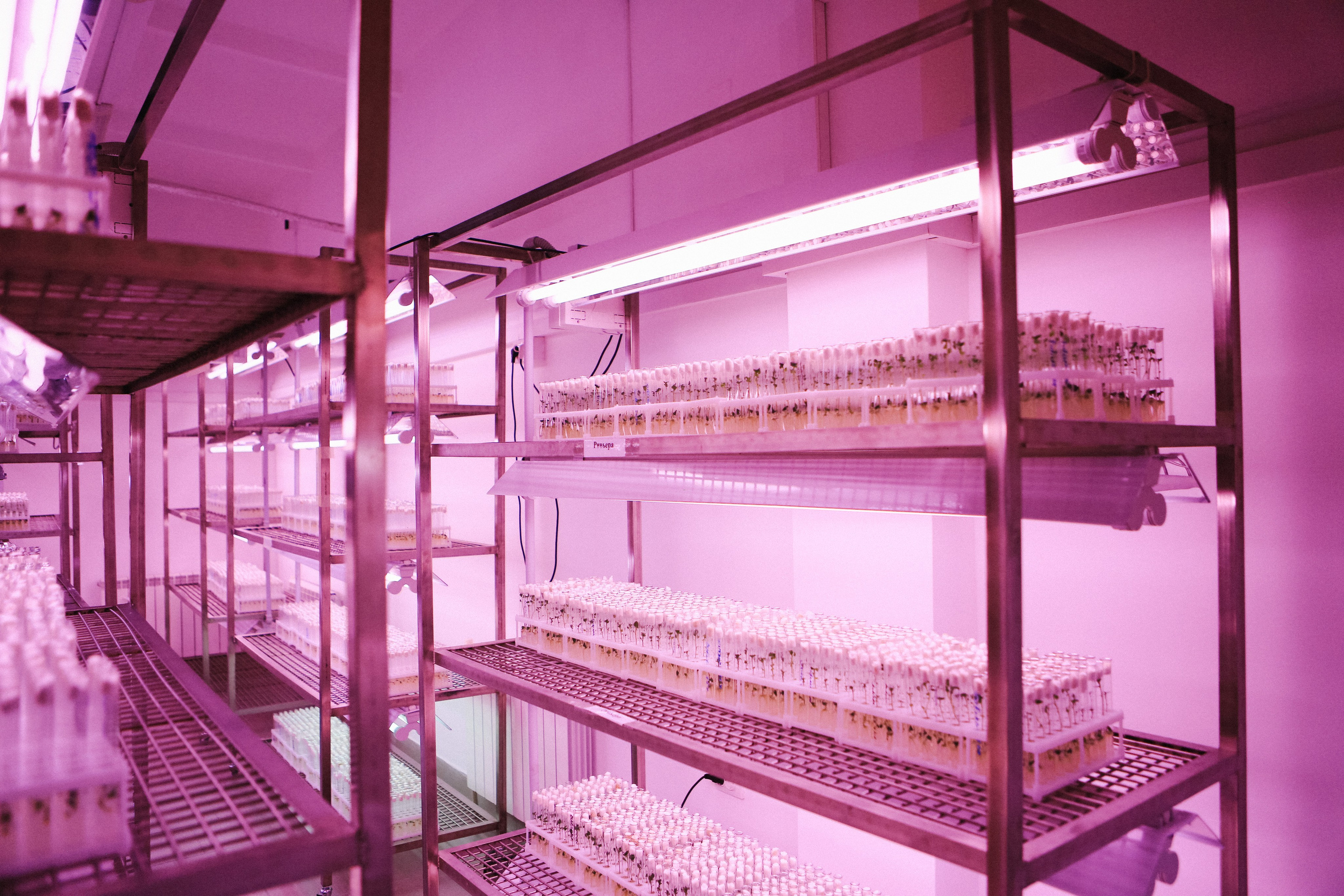 Пресс-тур для Неизвестного Кавказа. Свадебный и портретный фотограф в Пятигорске, КМВ — Власова Юля