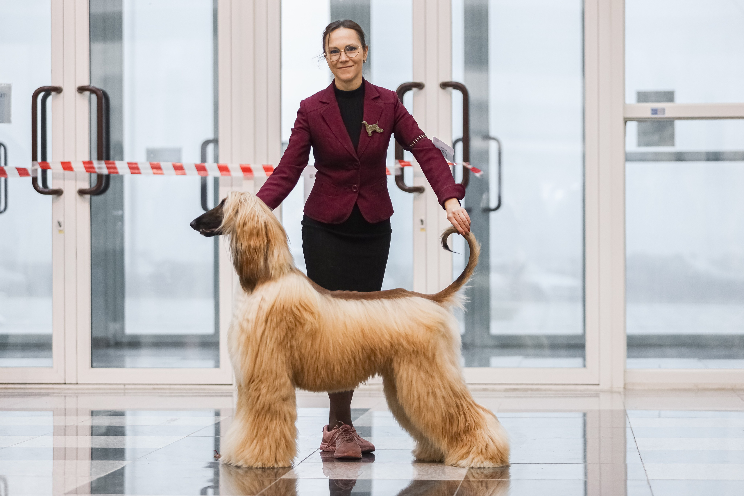 Международная выставка собак СACIB FCI 29-30.11.2025. Галерея фотографий афганской борзой