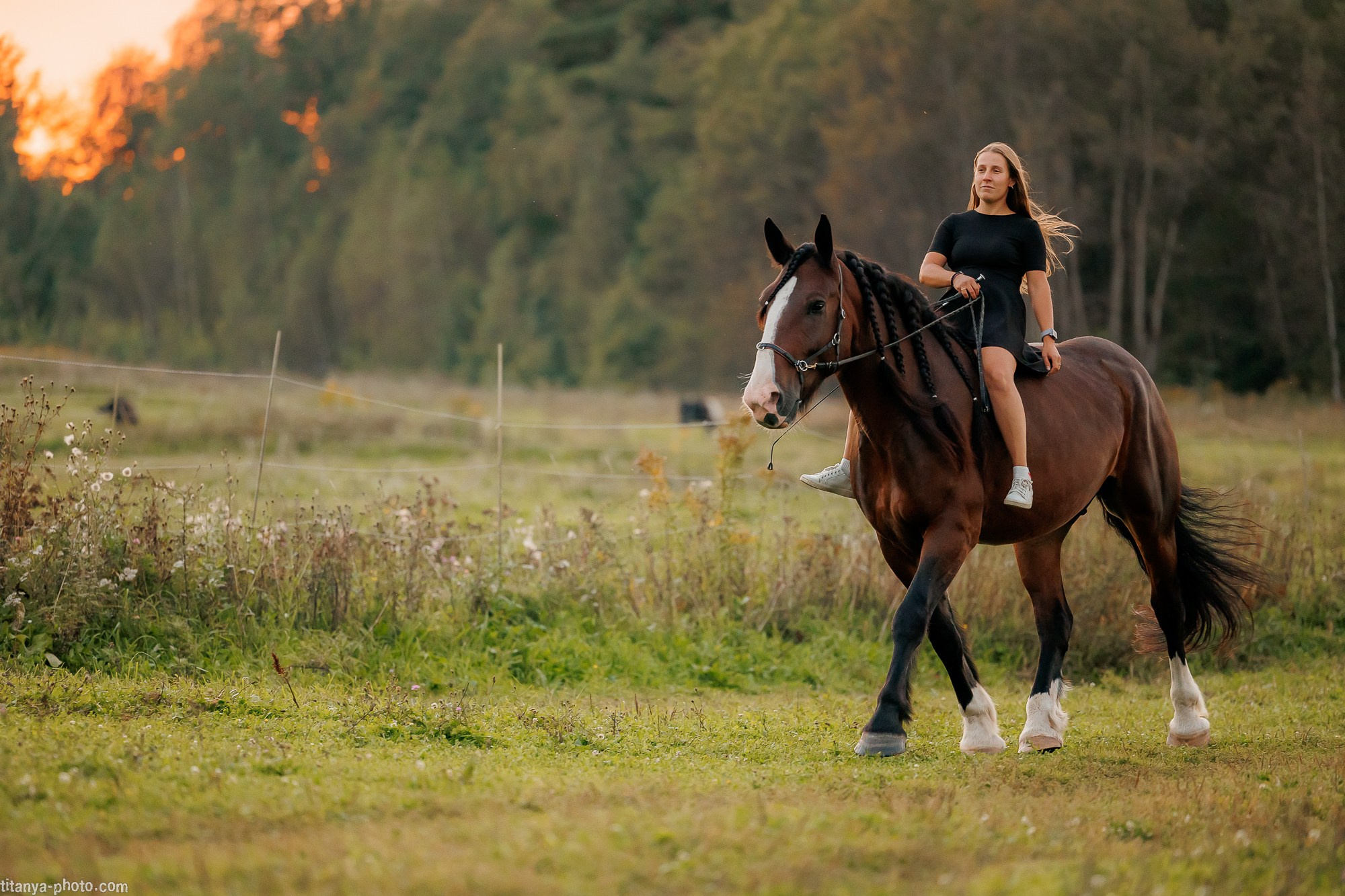 Закатная семейная фотосессия: про Настю и её дружную семью. Фотограф собак, фотограф-анималист Аня Титова (Titanya). Москва