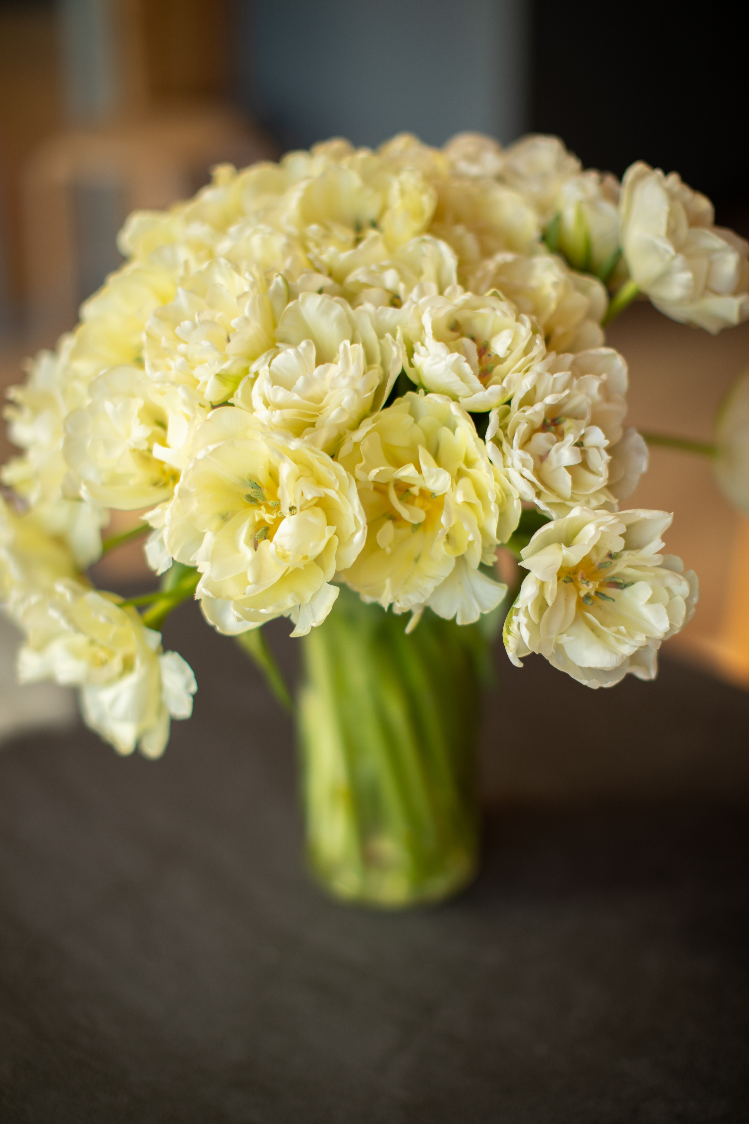 Портфолио. Фотограф Наталья Штукина