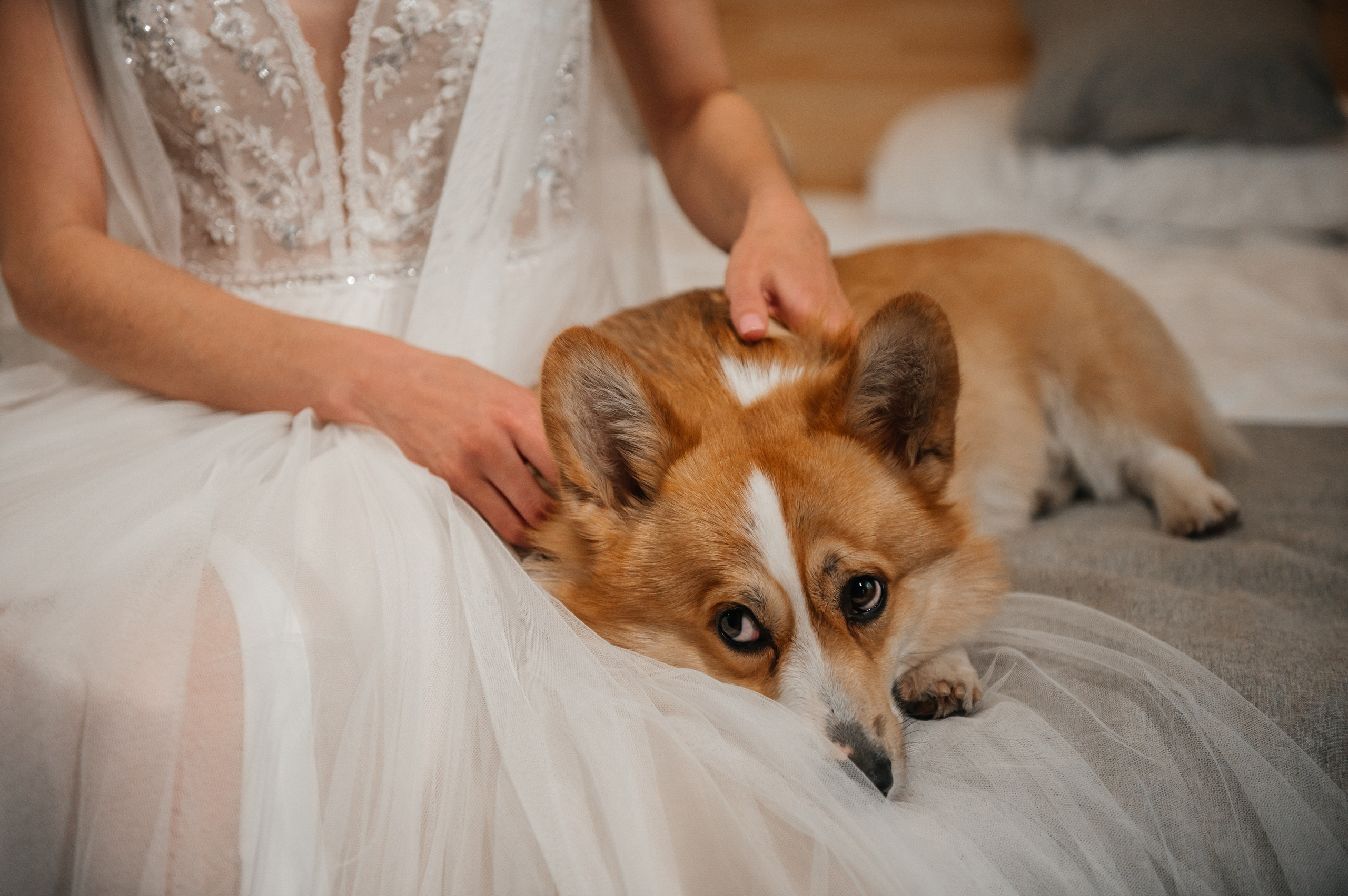 Вадим и Анастасия. Свадебная  съемка на Алтае