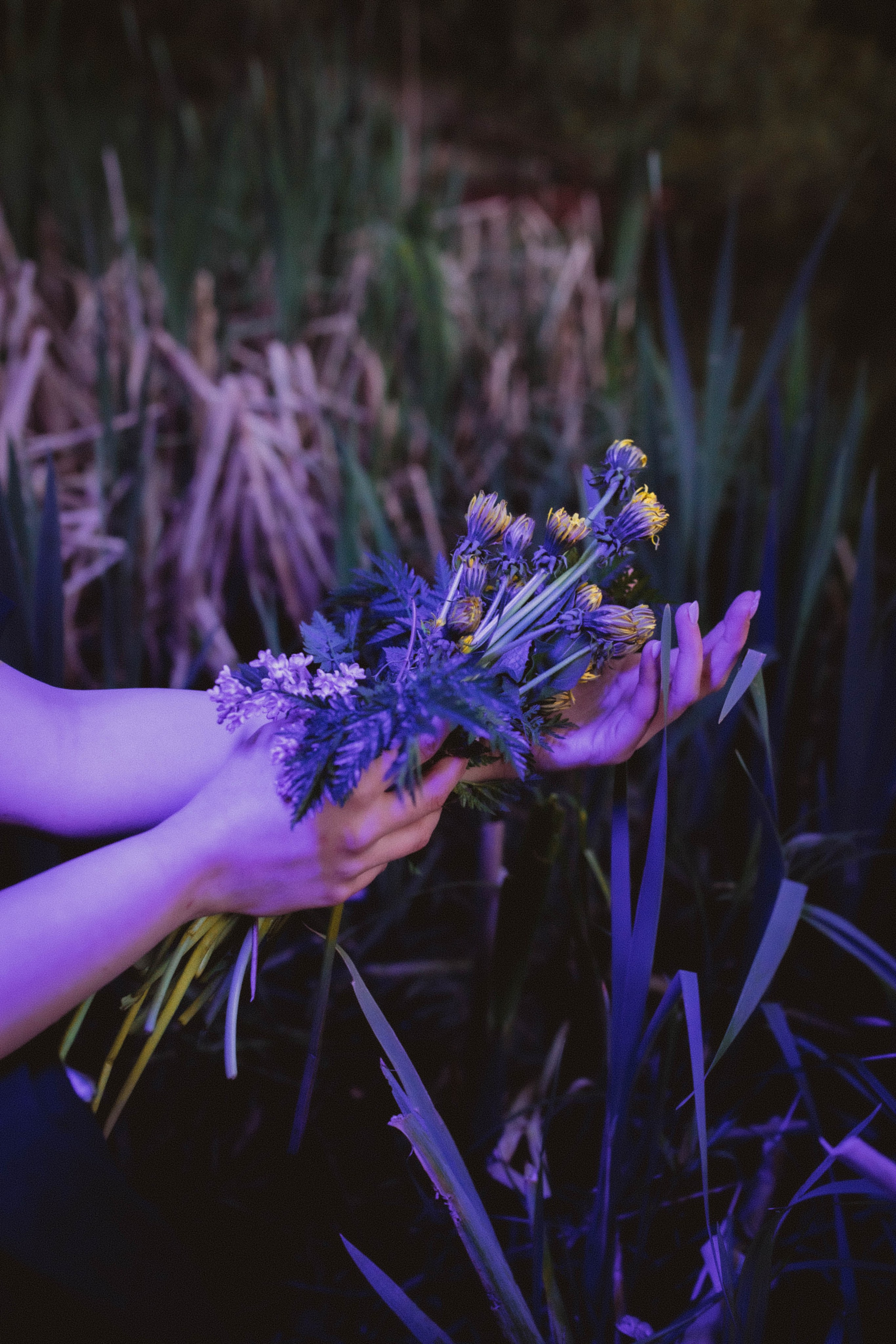 Элина. Александра Мельниченко/ Бегающий фотограф