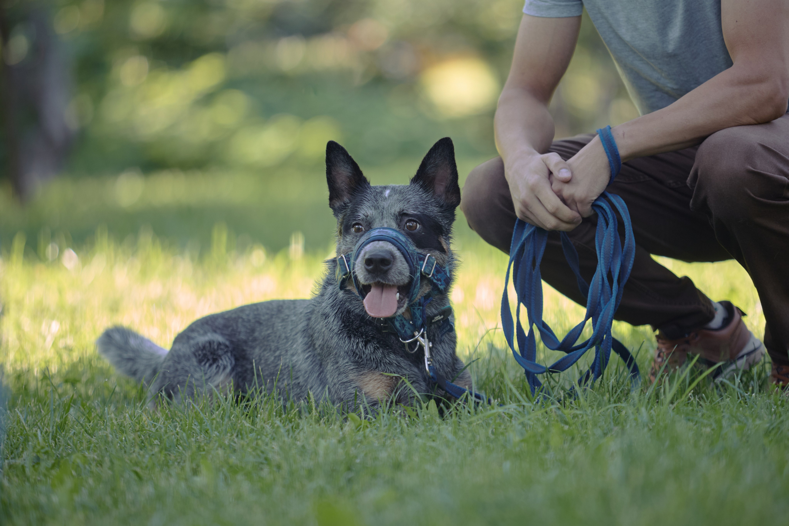Фотосессии. Фотограф Ирина Астор