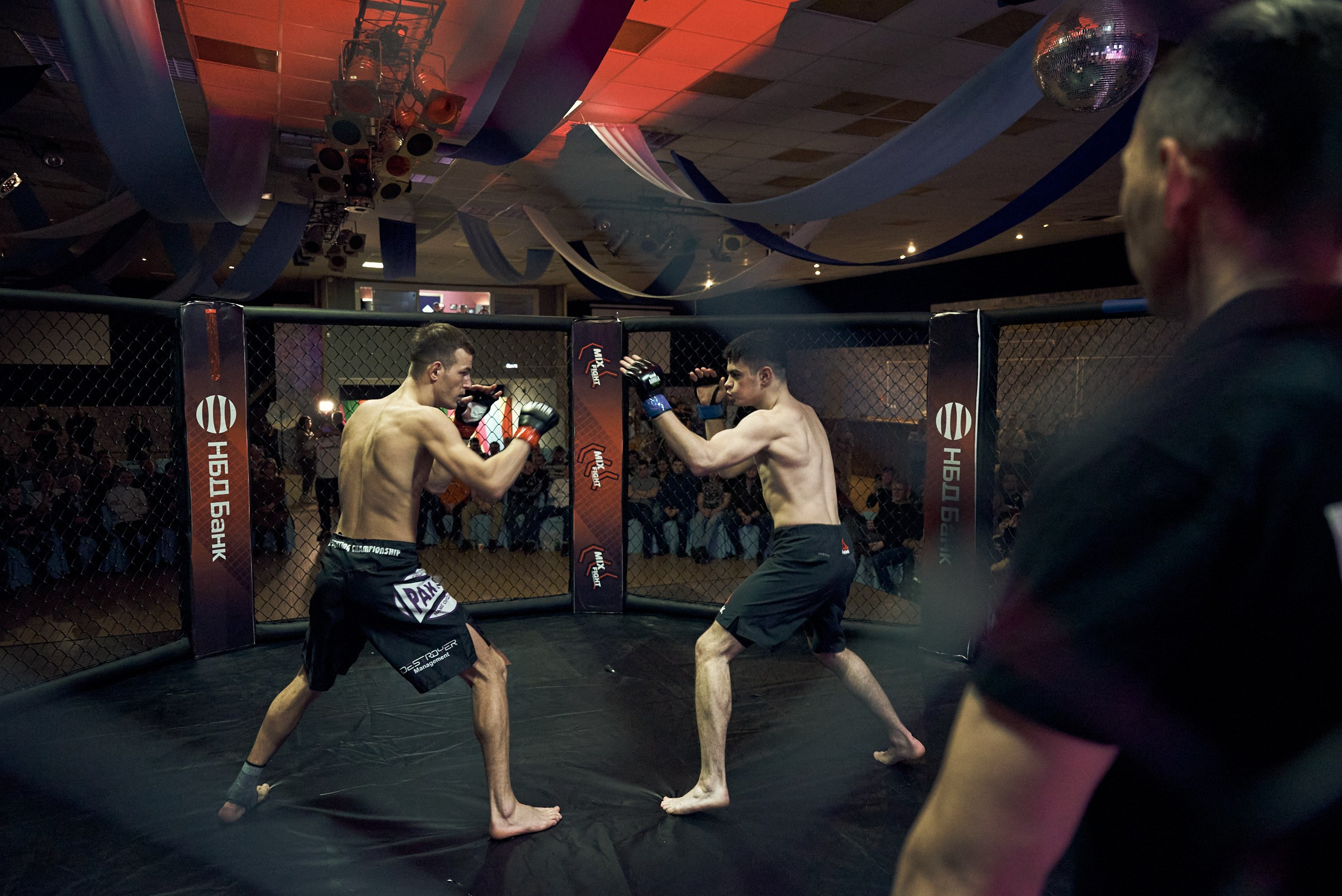 Бои. Маляревич Дмитрий свадебный фотограф