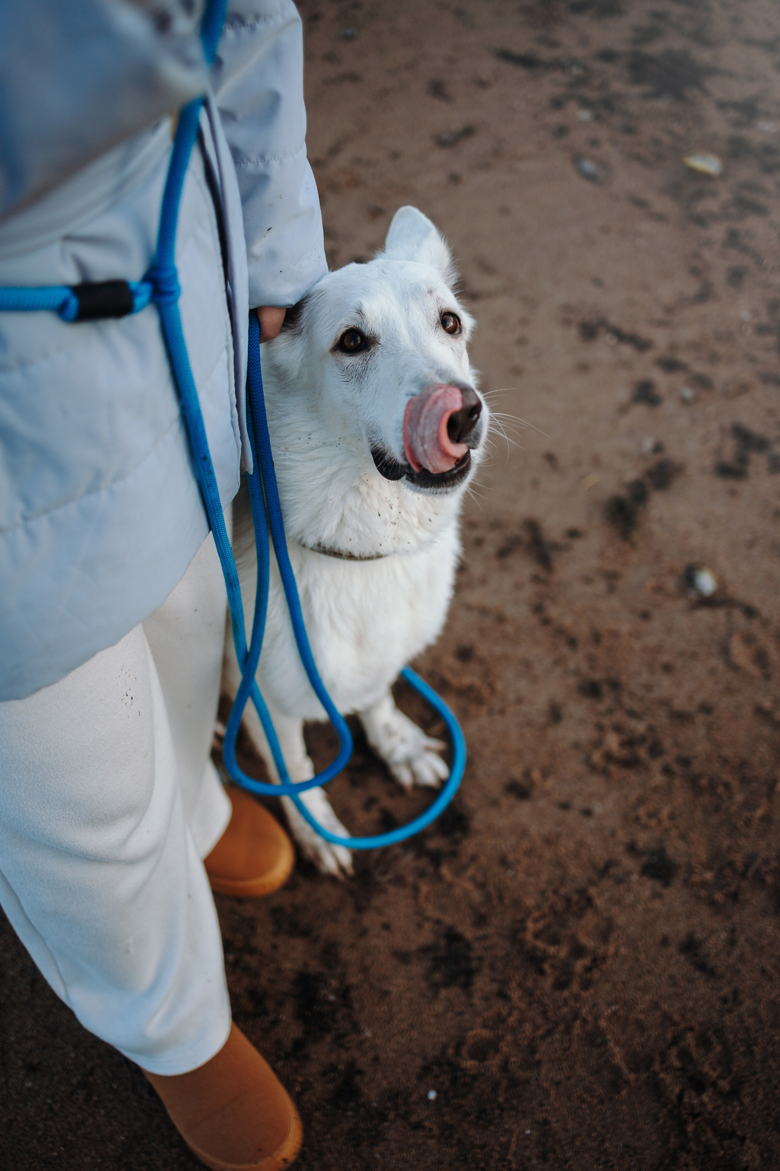 Настя и Эва. Фотограф — Анималист | Санкт-Петербург