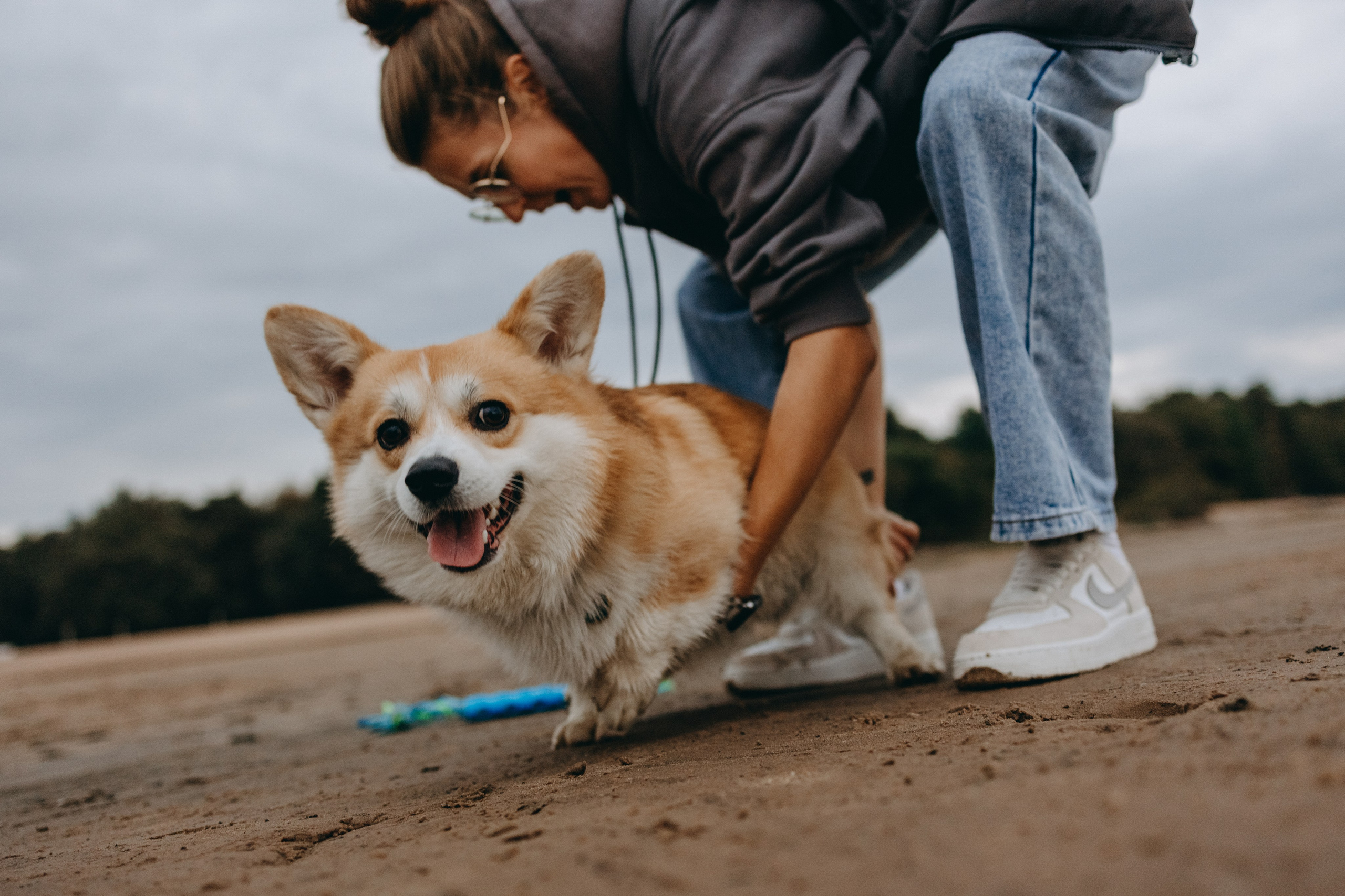 Лиза и Бакс. Фотограф — Анималист | Санкт-Петербург