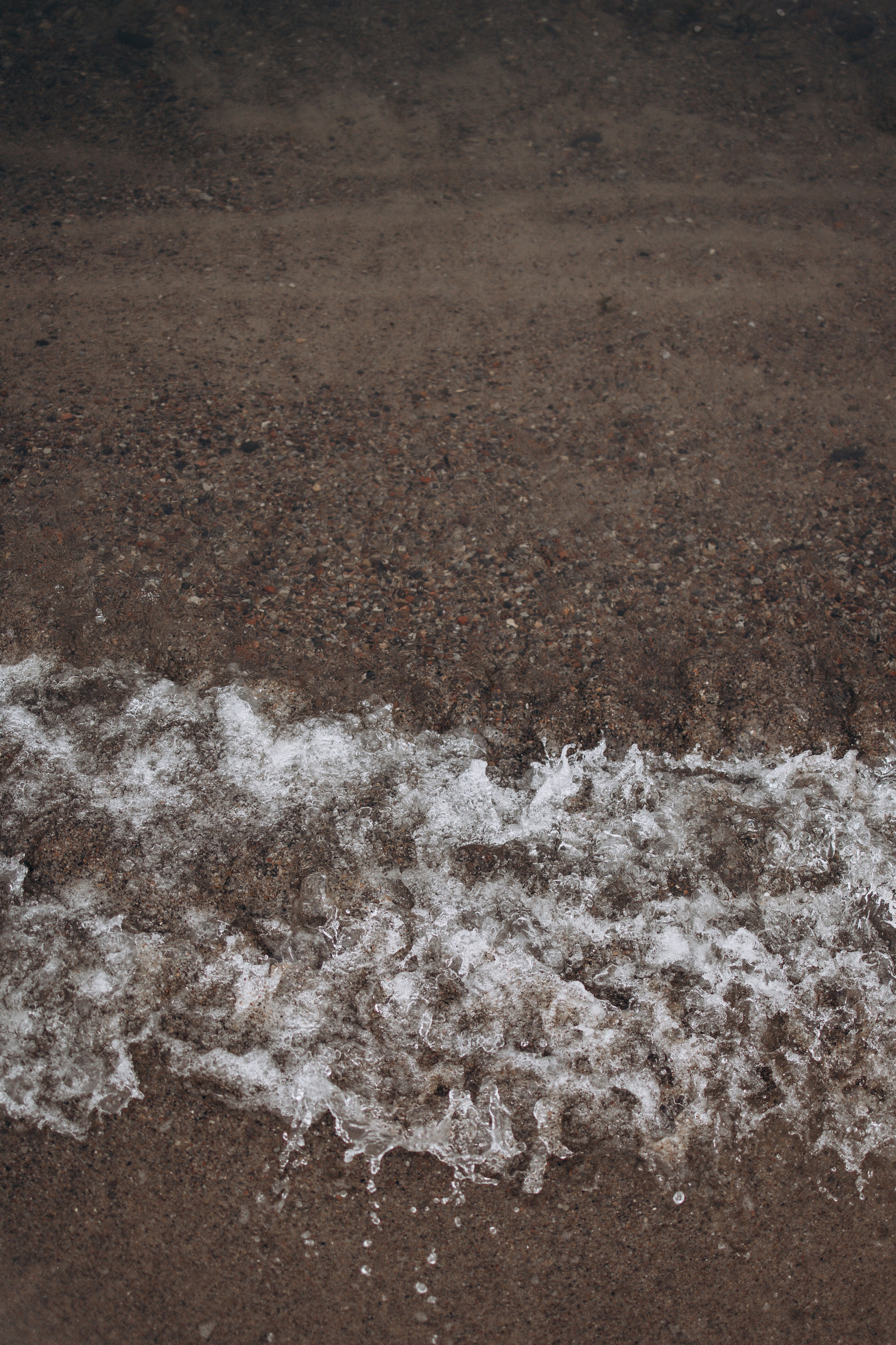 Юля и Максик. Фотограф — Анималист | Санкт-Петербург