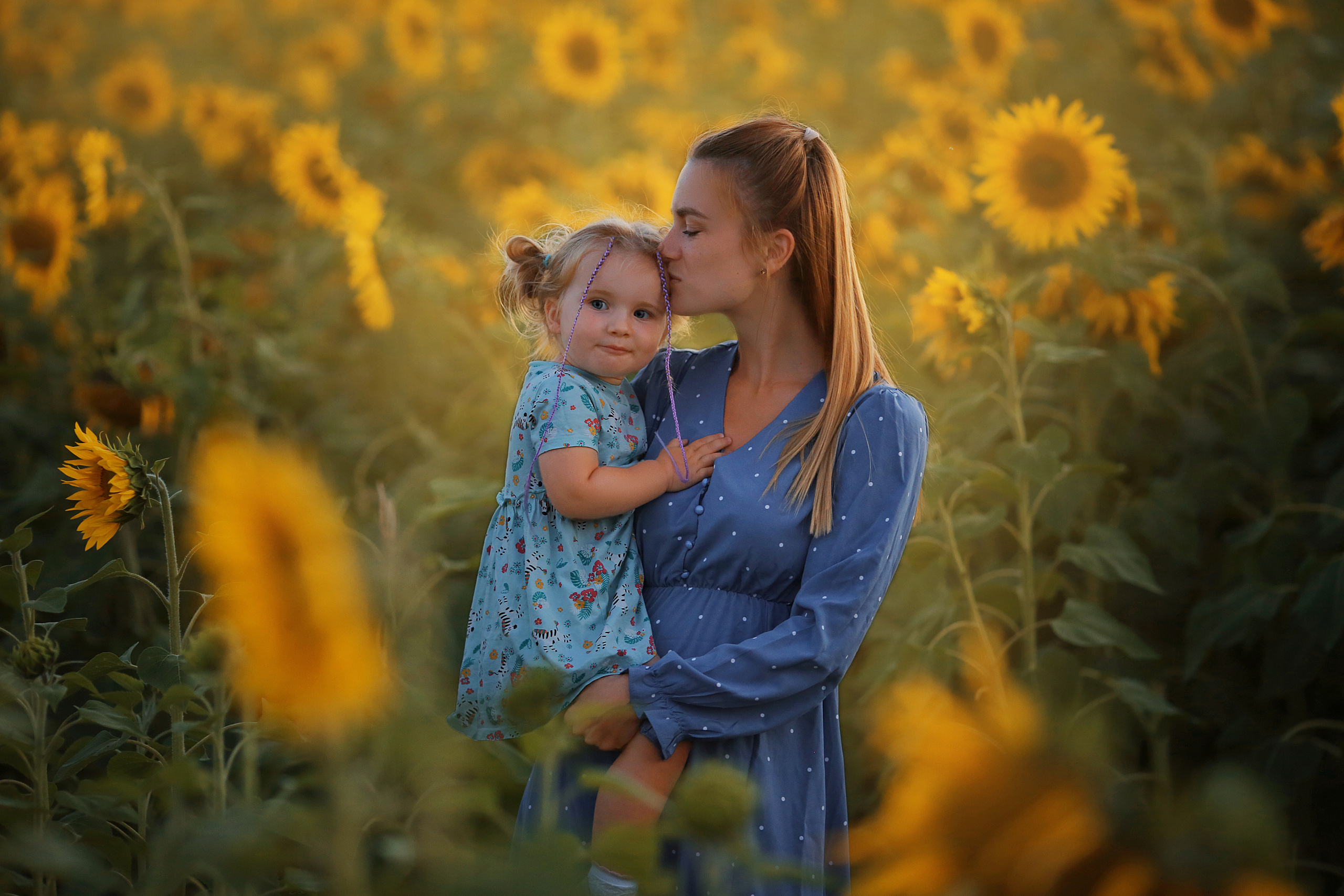 Фотосессия в подсолнухах. Семейный и свадебный фотограф в Минске Ирина Тихонова