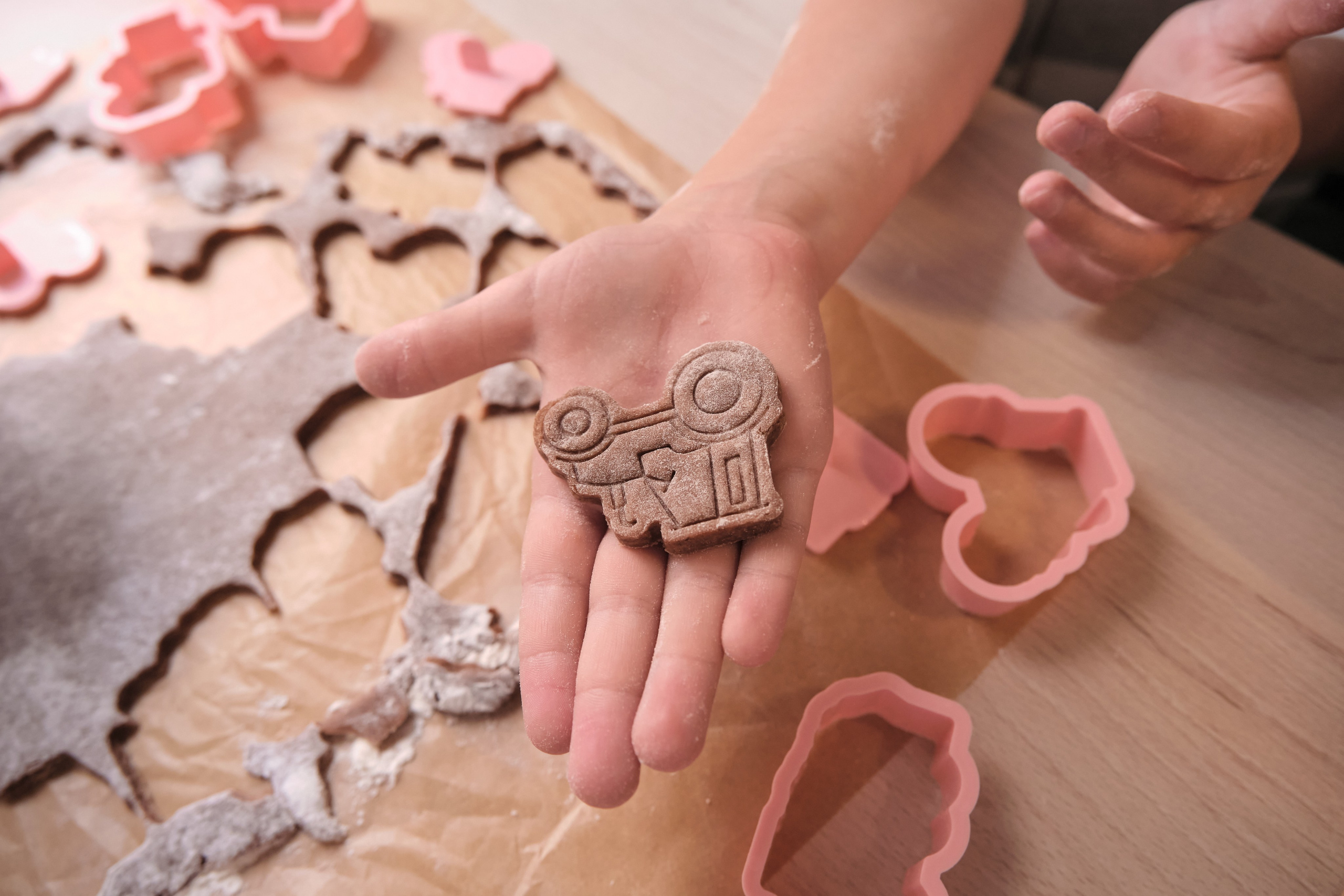 Семья Анастасии