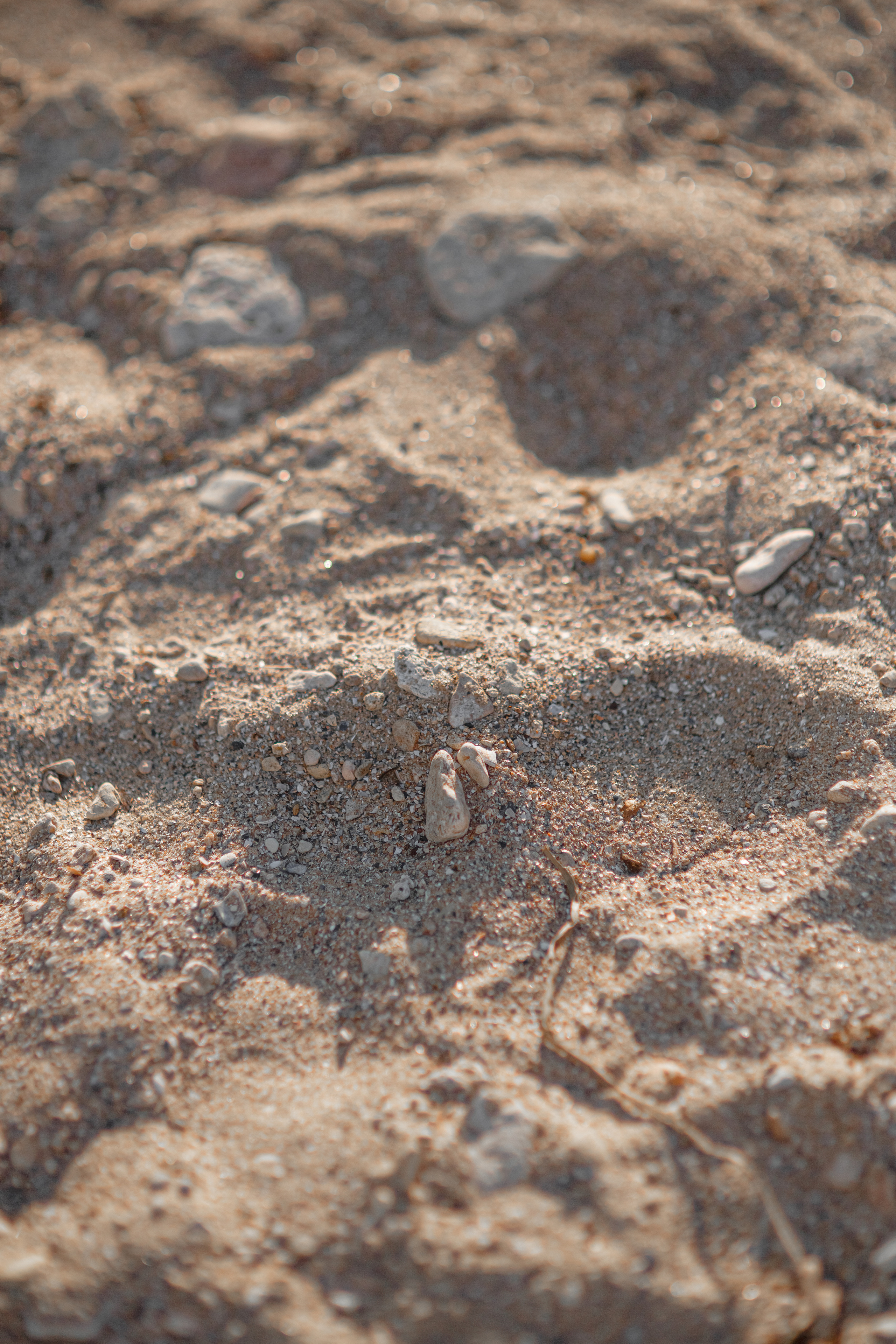 Фотосъемка свадьбы в Краснодаре на природе в стиле fine art. Фотограф в Краснодаре Анна Худокормова. Свадебные, семейные, детские фотосессии