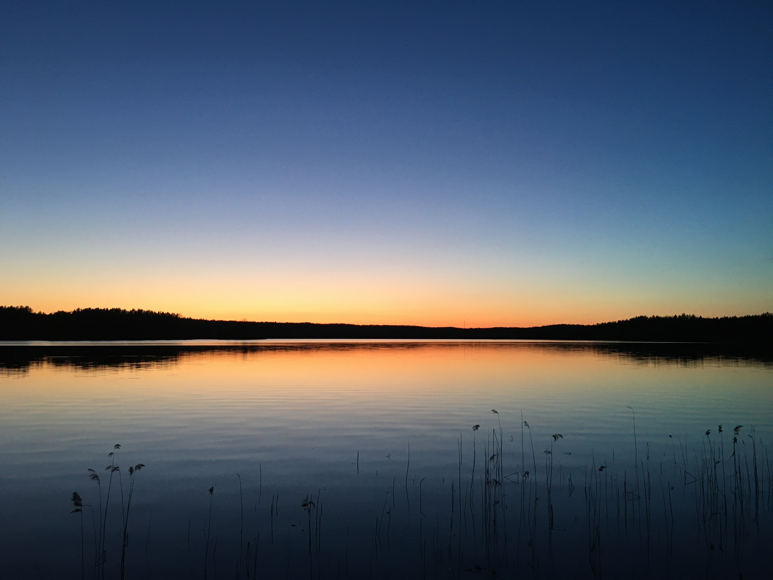 Пейзаж. Фотограф Олеся Шипихина г. Москва