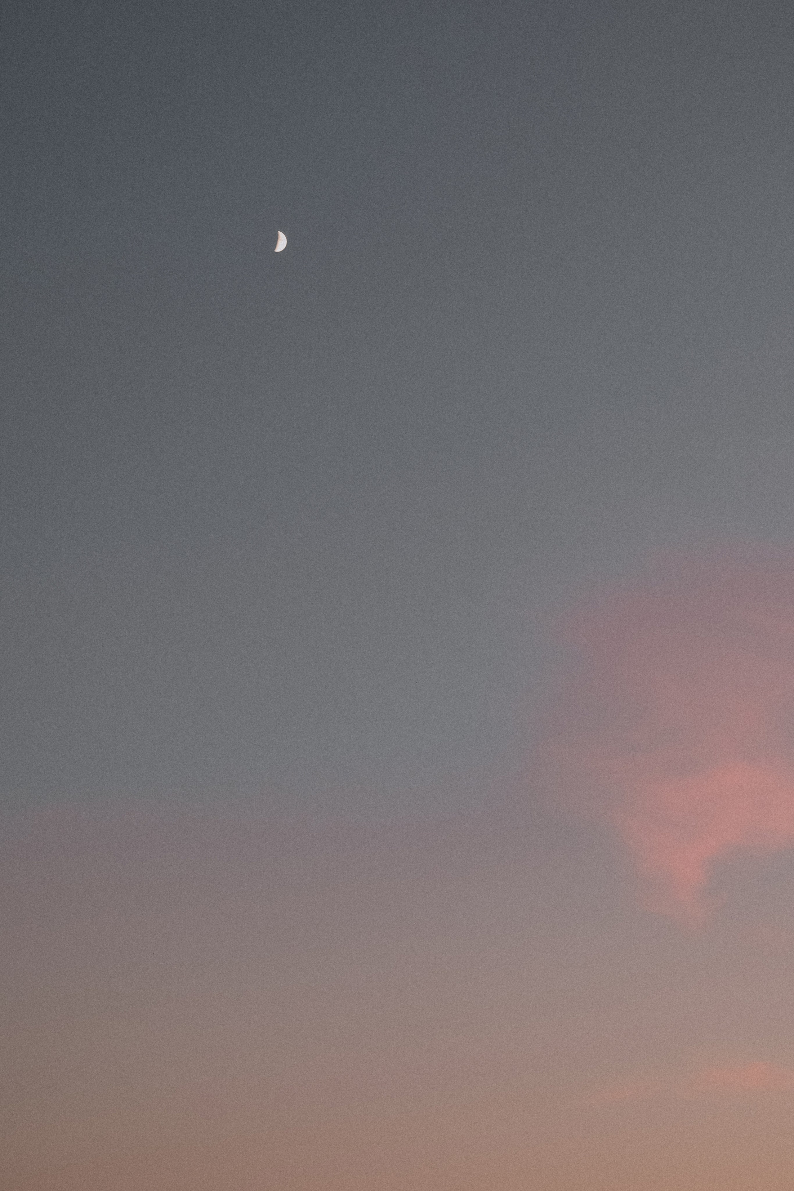 Аня, Николь и Мишель. Семейный фотограф Москва