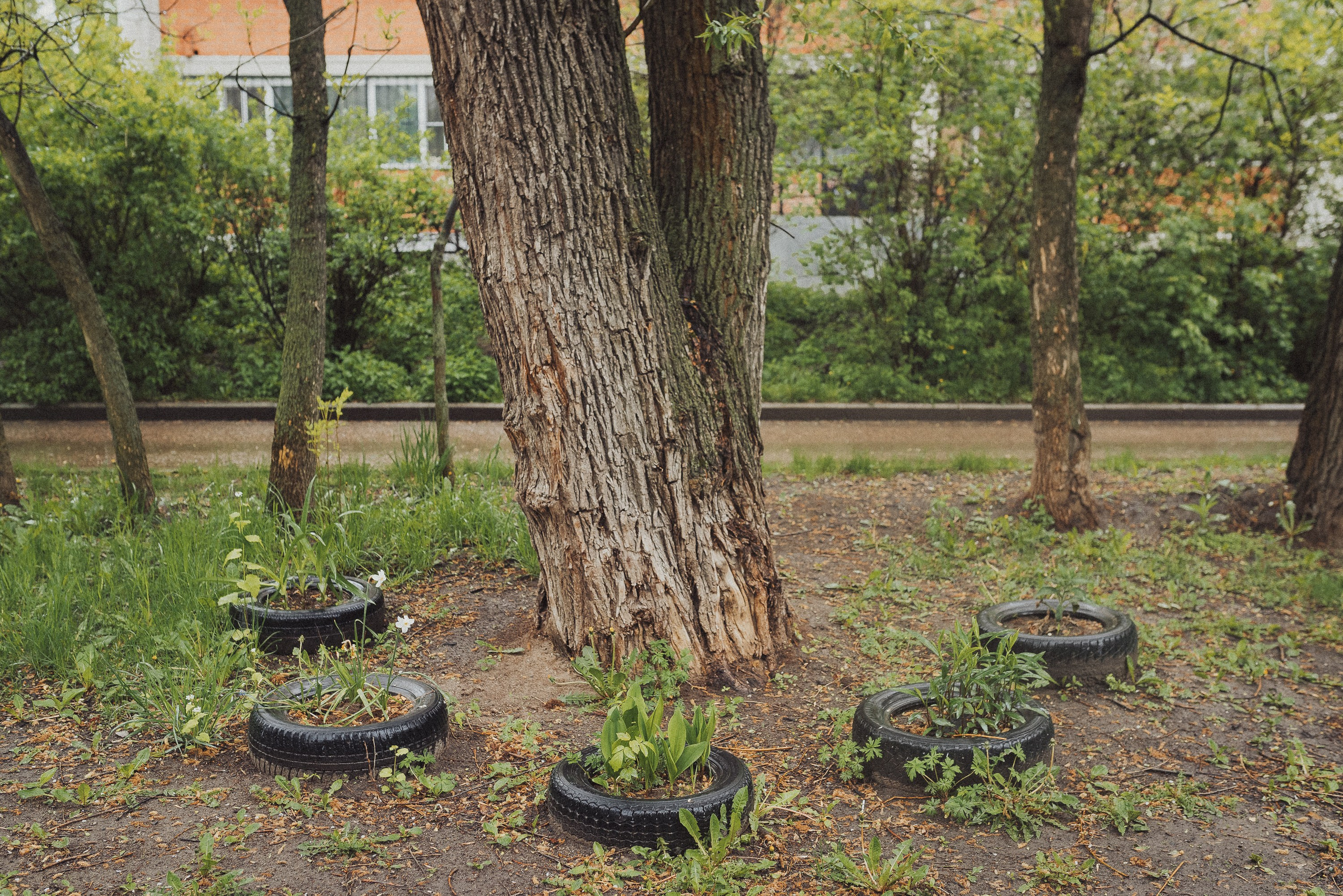 Фотопроект «ЯШина». Документальный фотограф Илья Тихановский