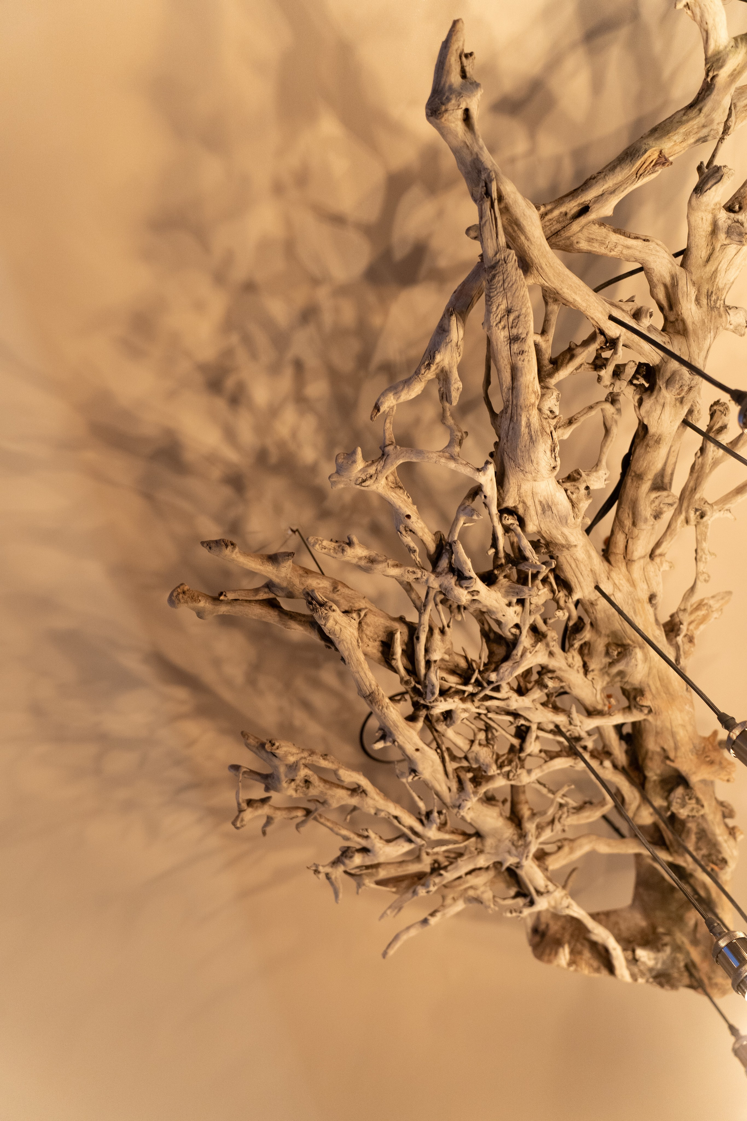 Лед и ложка. Для тех, кто не ждёт удачи, а создаёт её. Каждая фотосессия — это твой момент, твой стиль, твой успех. 📸