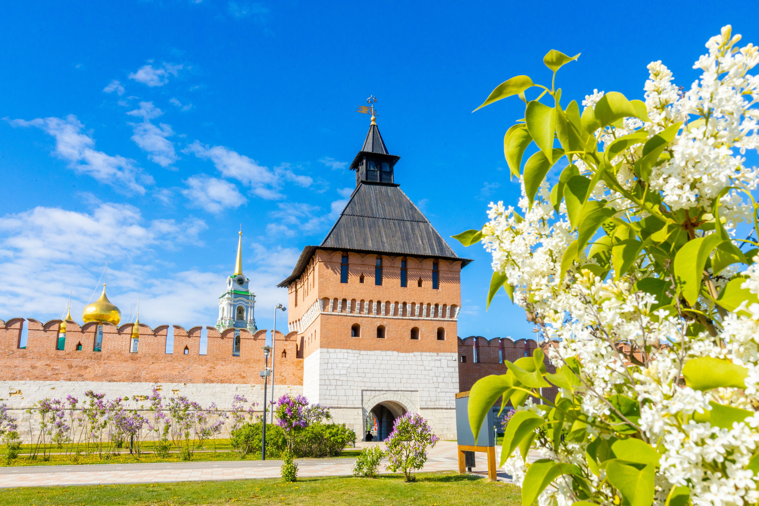Весеннее цветение в Туле. Фотограф в Туле Крупский АнДРей. Фотостудия «КАДР71» в Туле