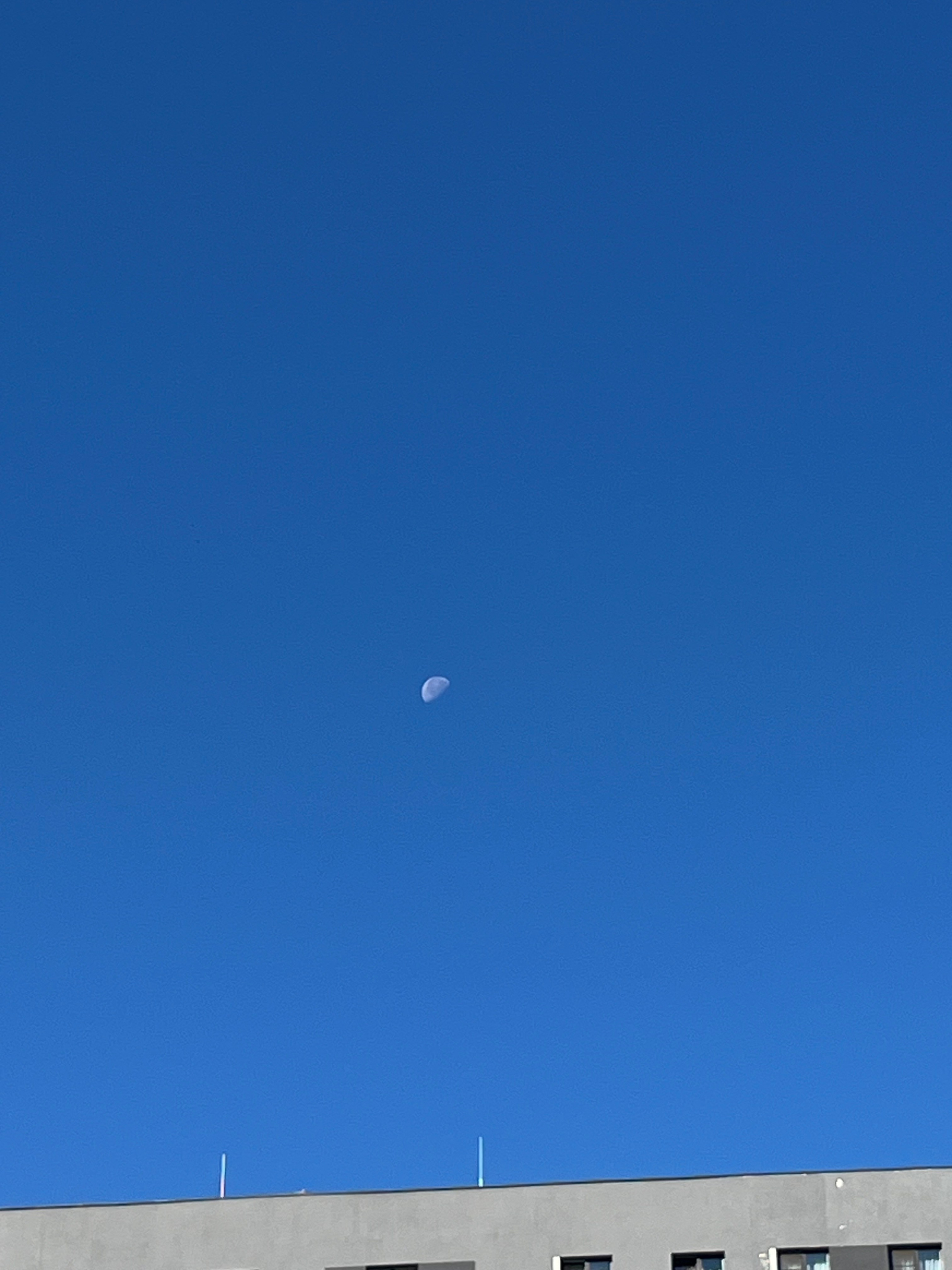 Визуальный дневник. Портретный фотограф в Москве Гахраманова Екатерина