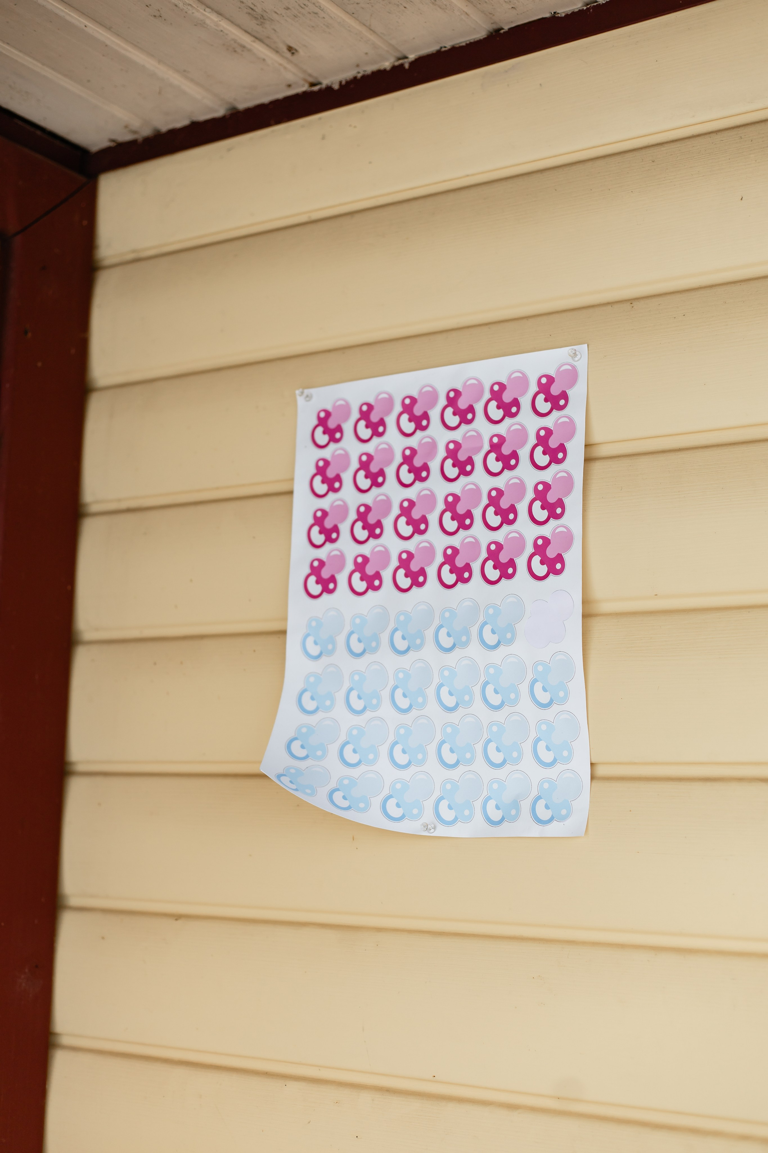 Снежное Гендер-пати. Свадебный фотограф Михаил Александров