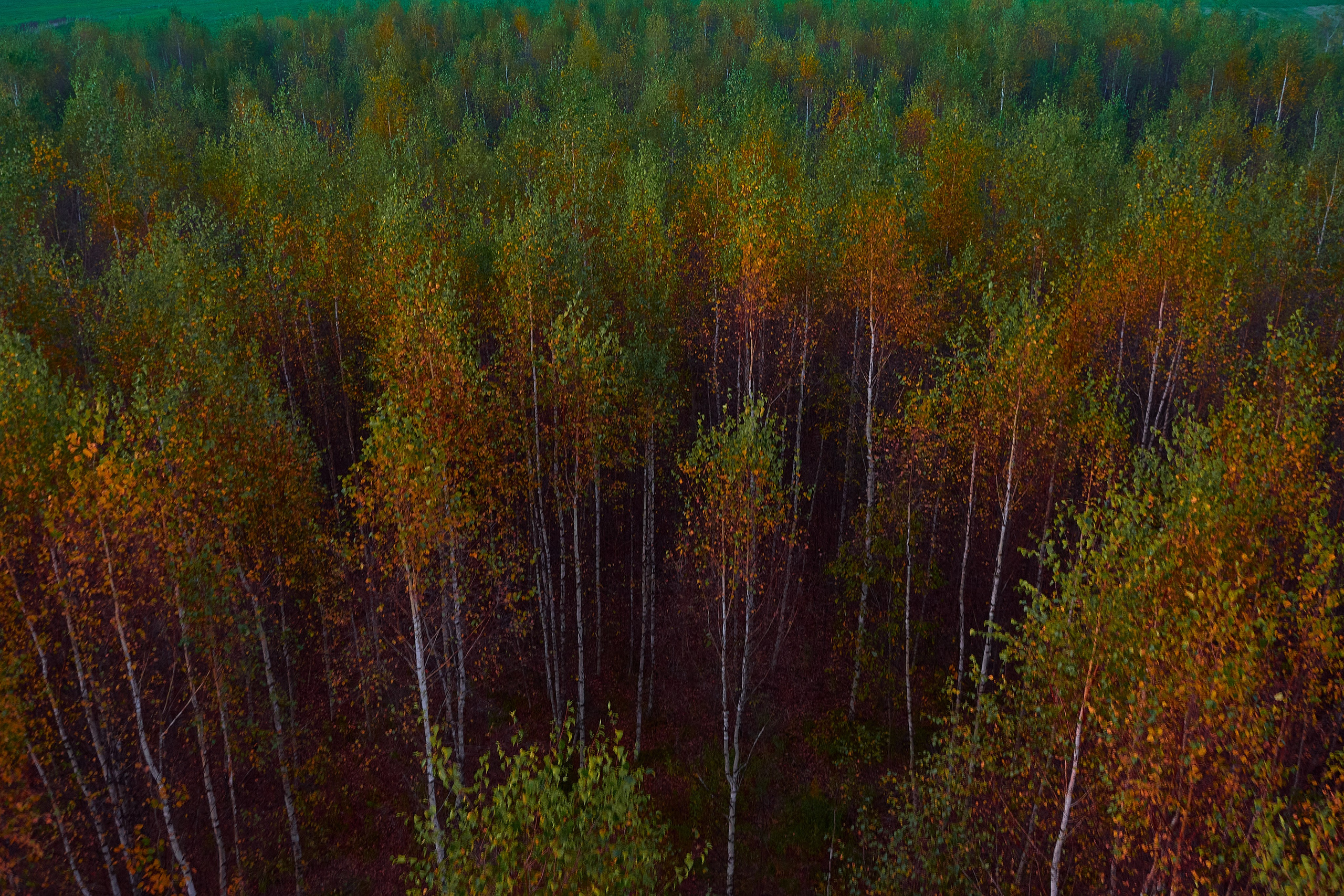 На большом воздушном шаре. Ольга Чёкотова (Фотограф Кострома)
