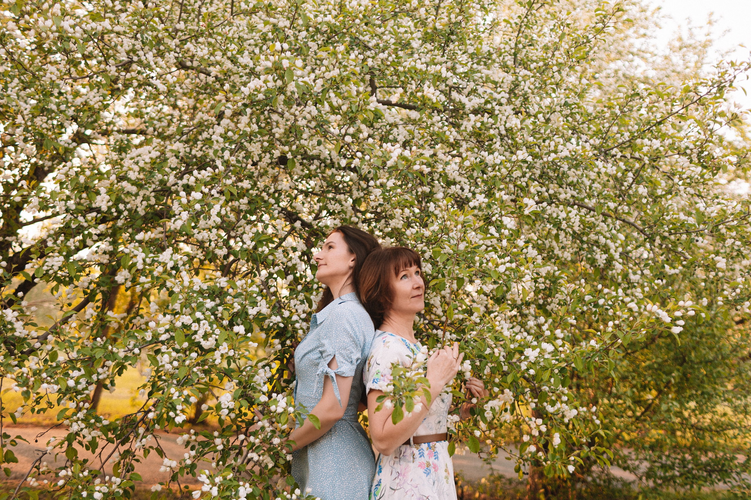 Яблони. Семейный фотограф Тюмень, фотограф на роды Салмина Мария