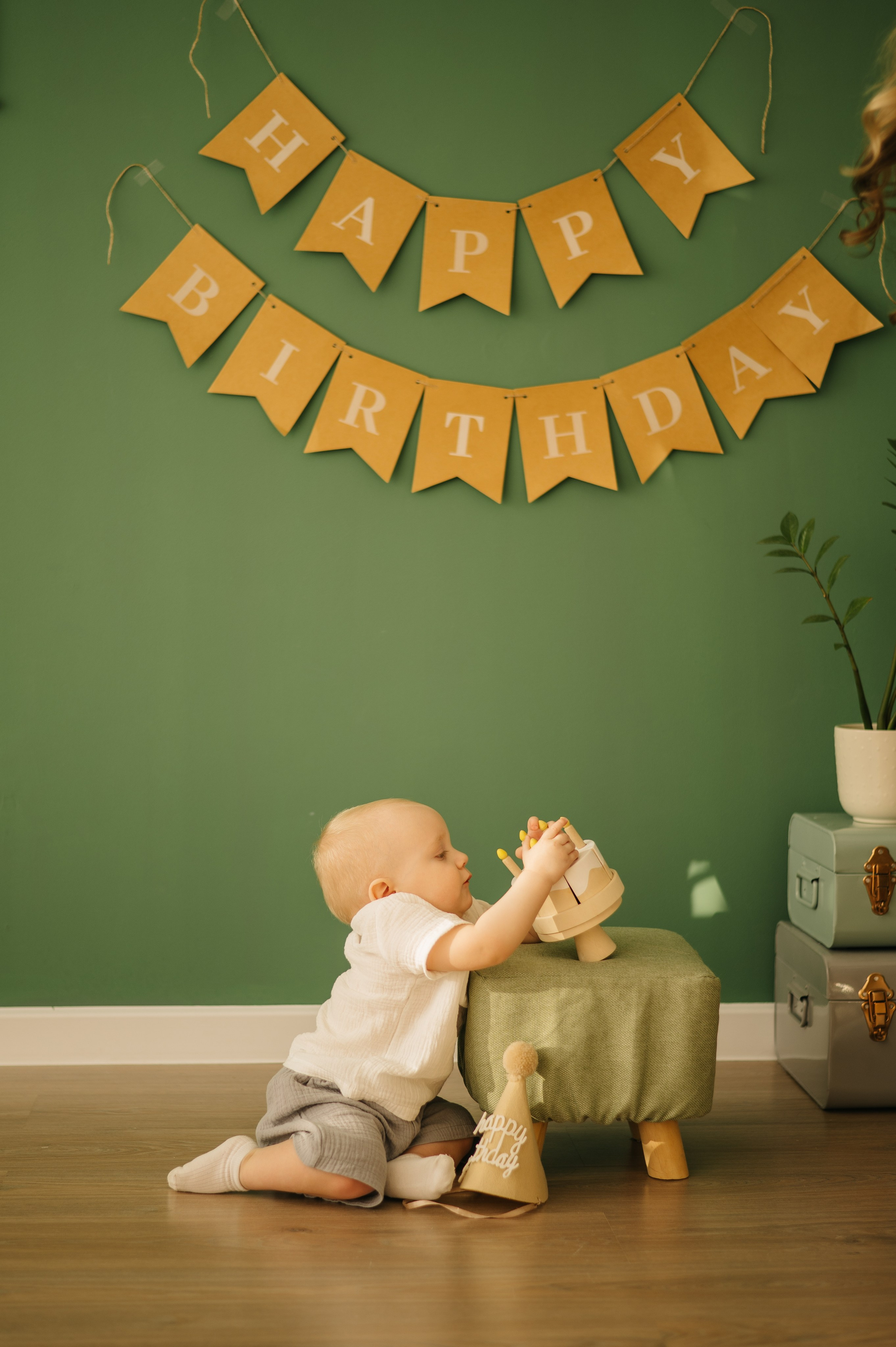 Павлик. Фотограф Архангельск