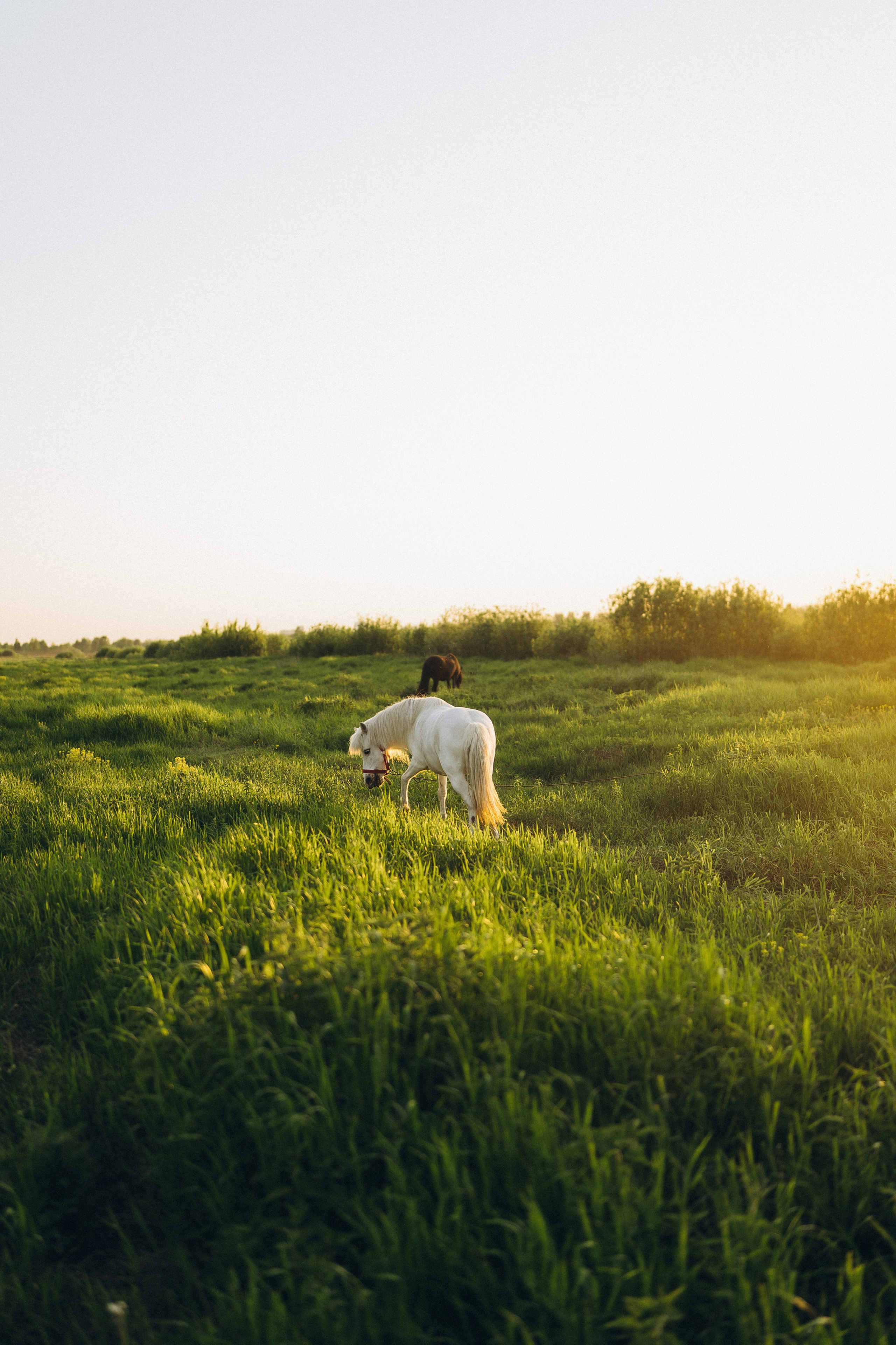 Дарья. Свадебный и семейный фотограф в Перми Дарья Алекс