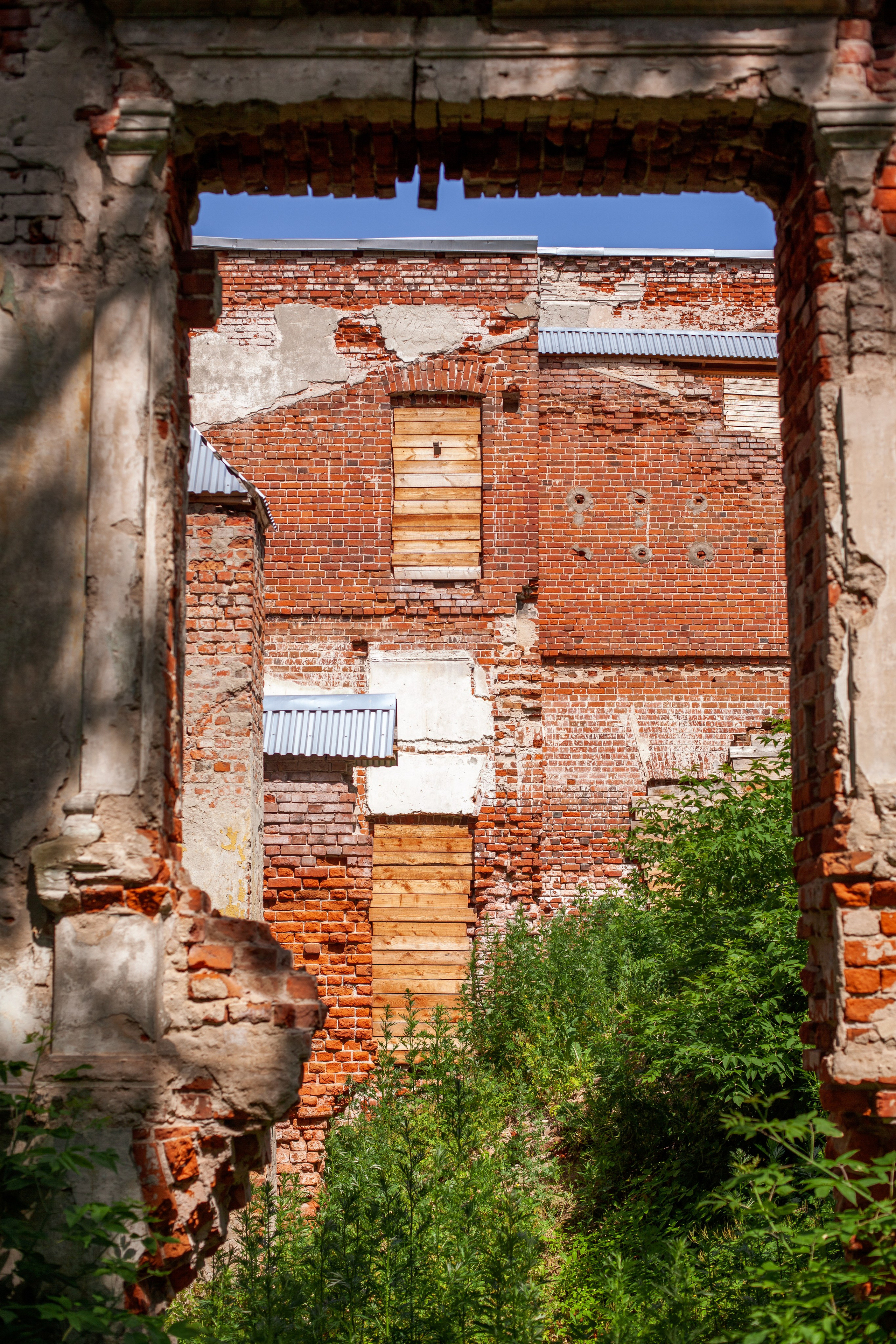 Костино. Фотограф-фототерапевт Рязань/Москва/Санкт-Петербург/Сочи Елена Сазонтова