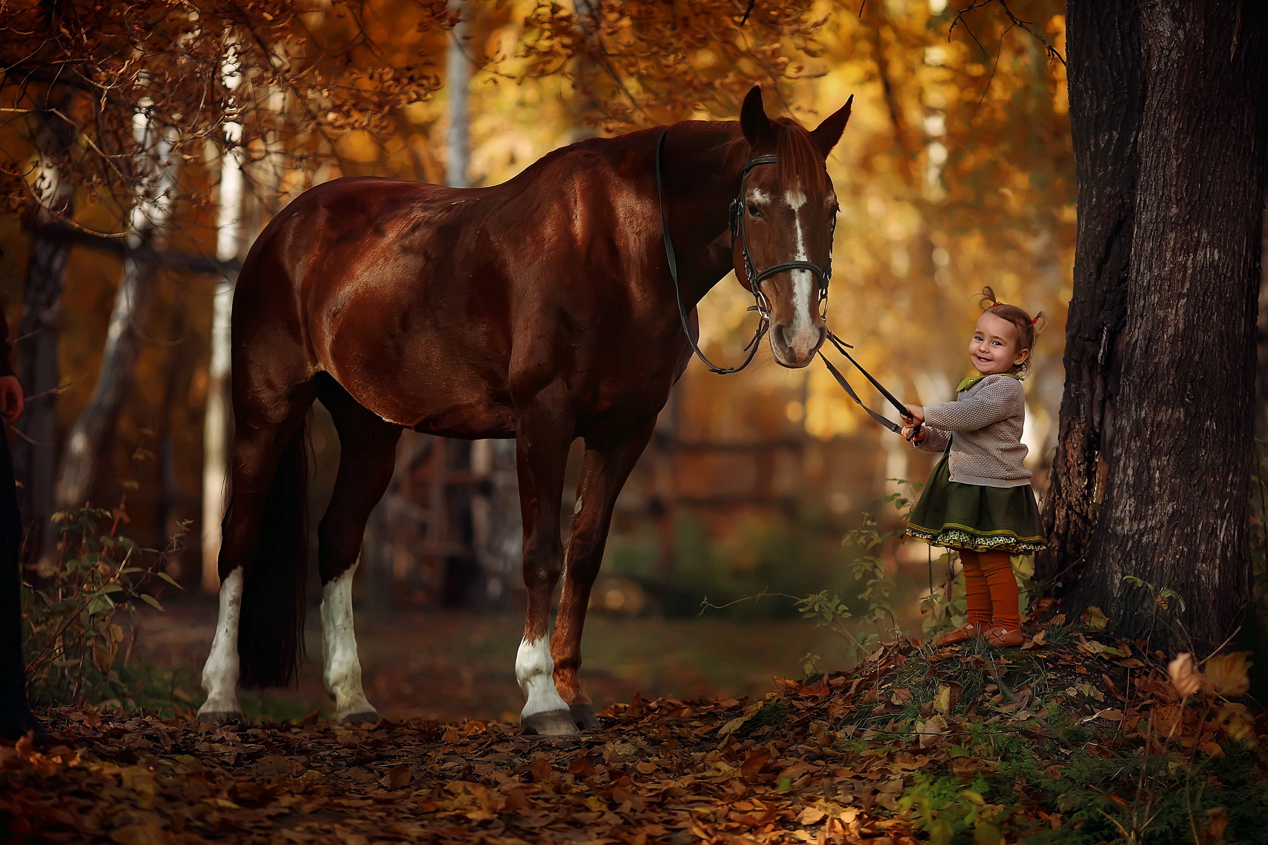 Семейные фотосессии. Семейный и детский фотограф Екатеринбург