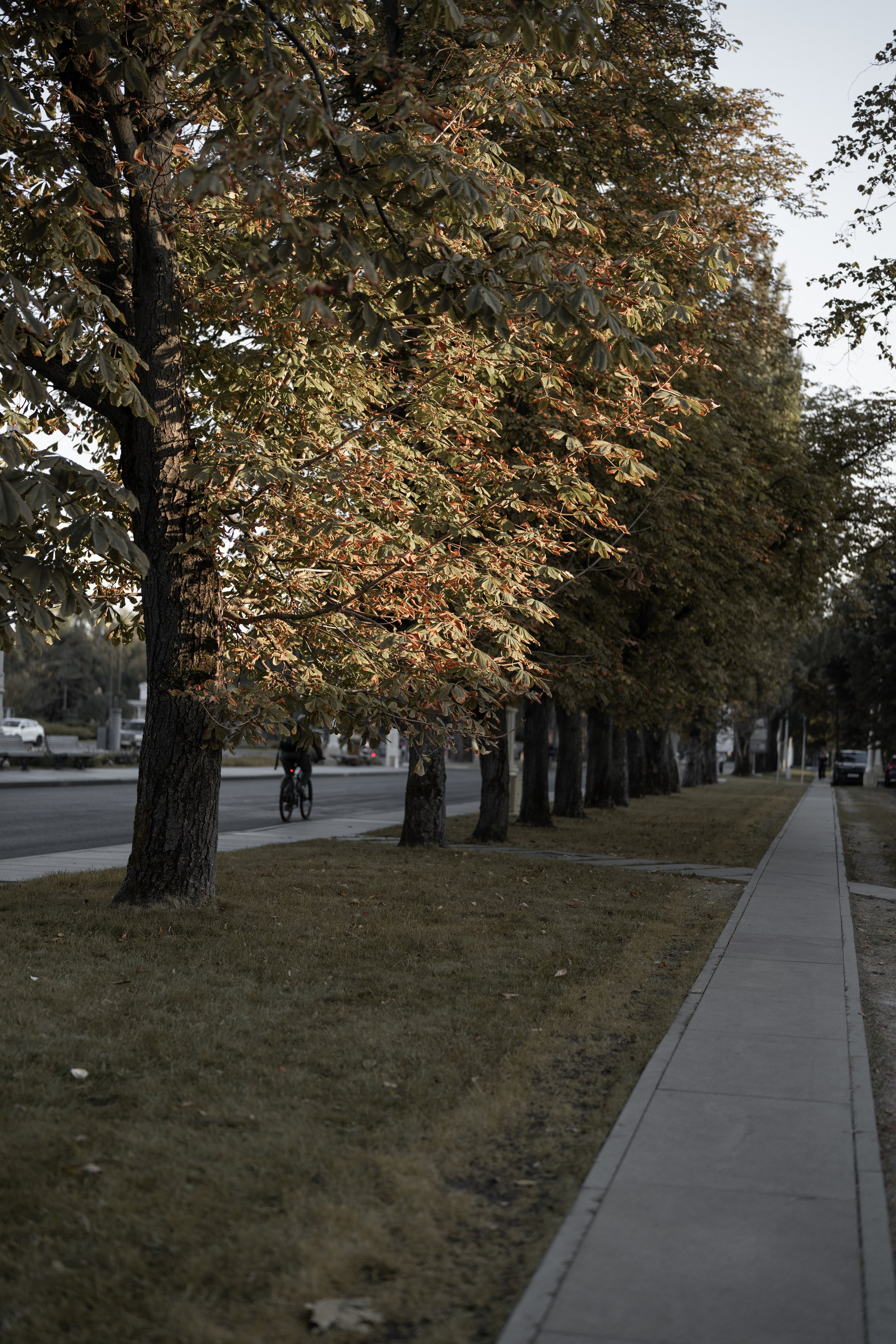 Ольга. Фотограф в Москве Мария Терентьева