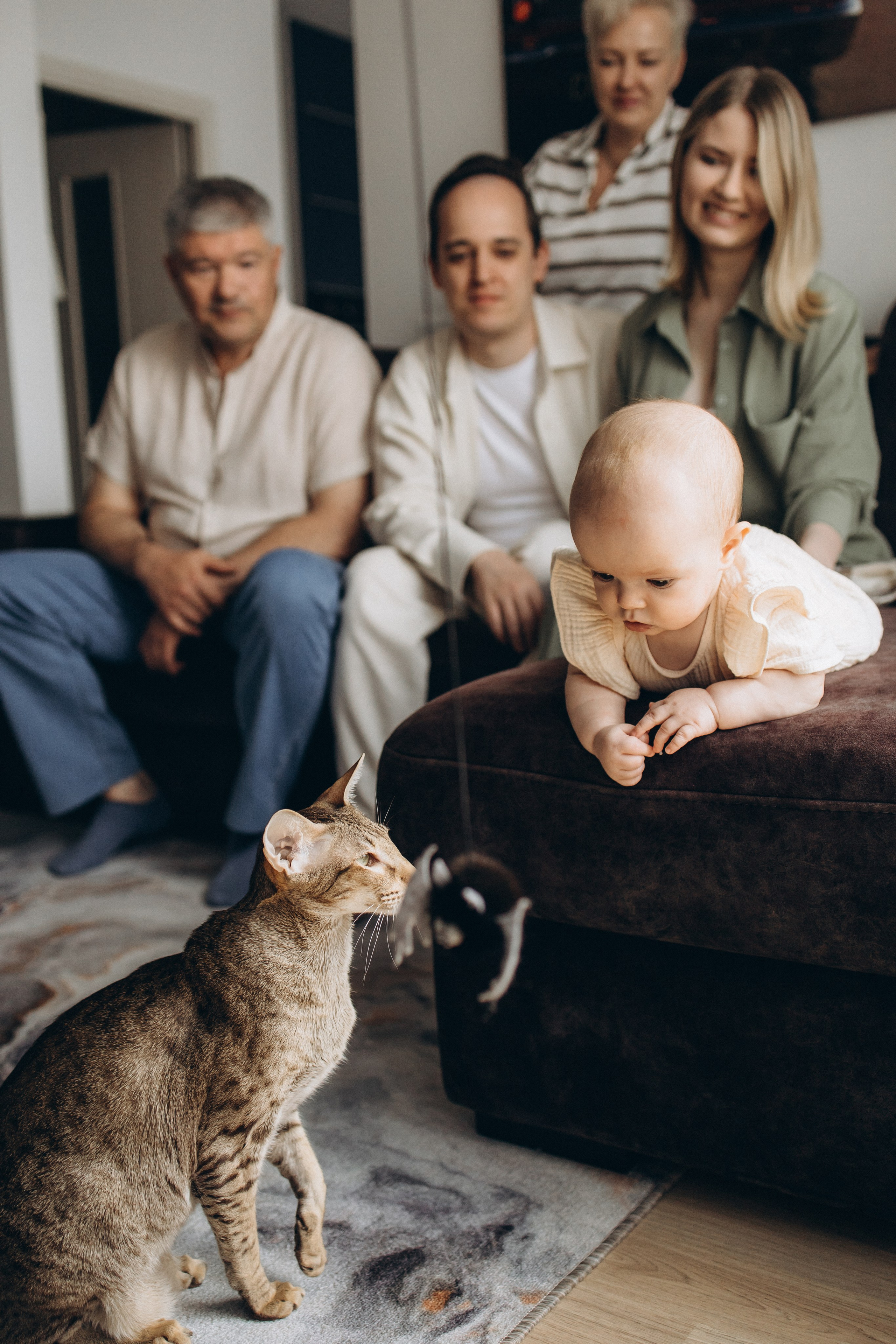 Уютная домашняя съемка с малышкой и котиком. Семейный фотограф в Москве, Щелково, Фрязино _ Виктория Степанова