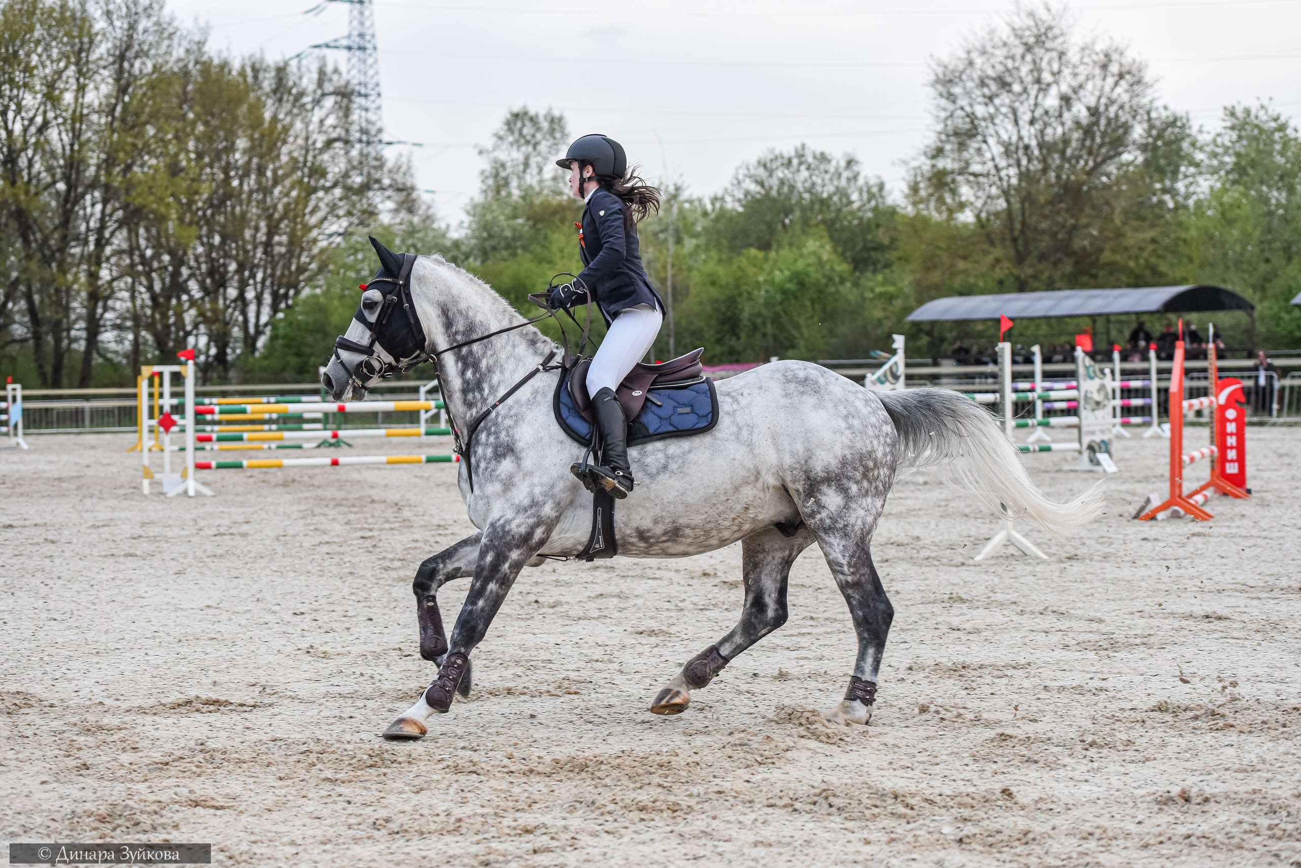 Кони. Мотофотограф в Нижнем Новгороде Динара Зуйкова