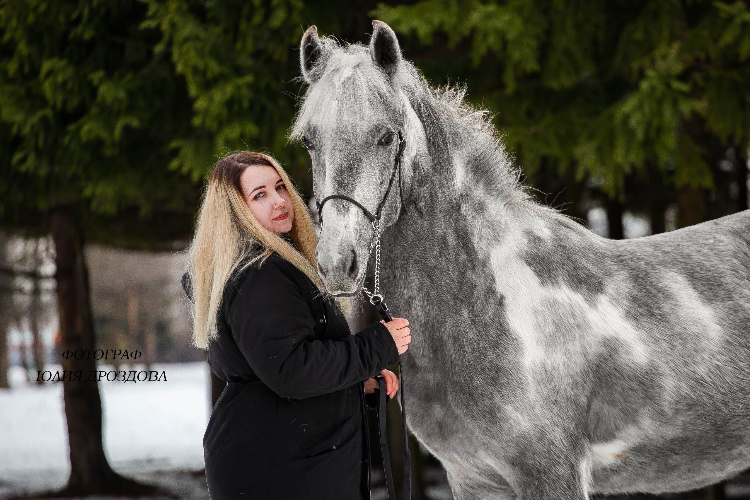 Зимние фотосессии. Конный фотограф Юлия Дроздова