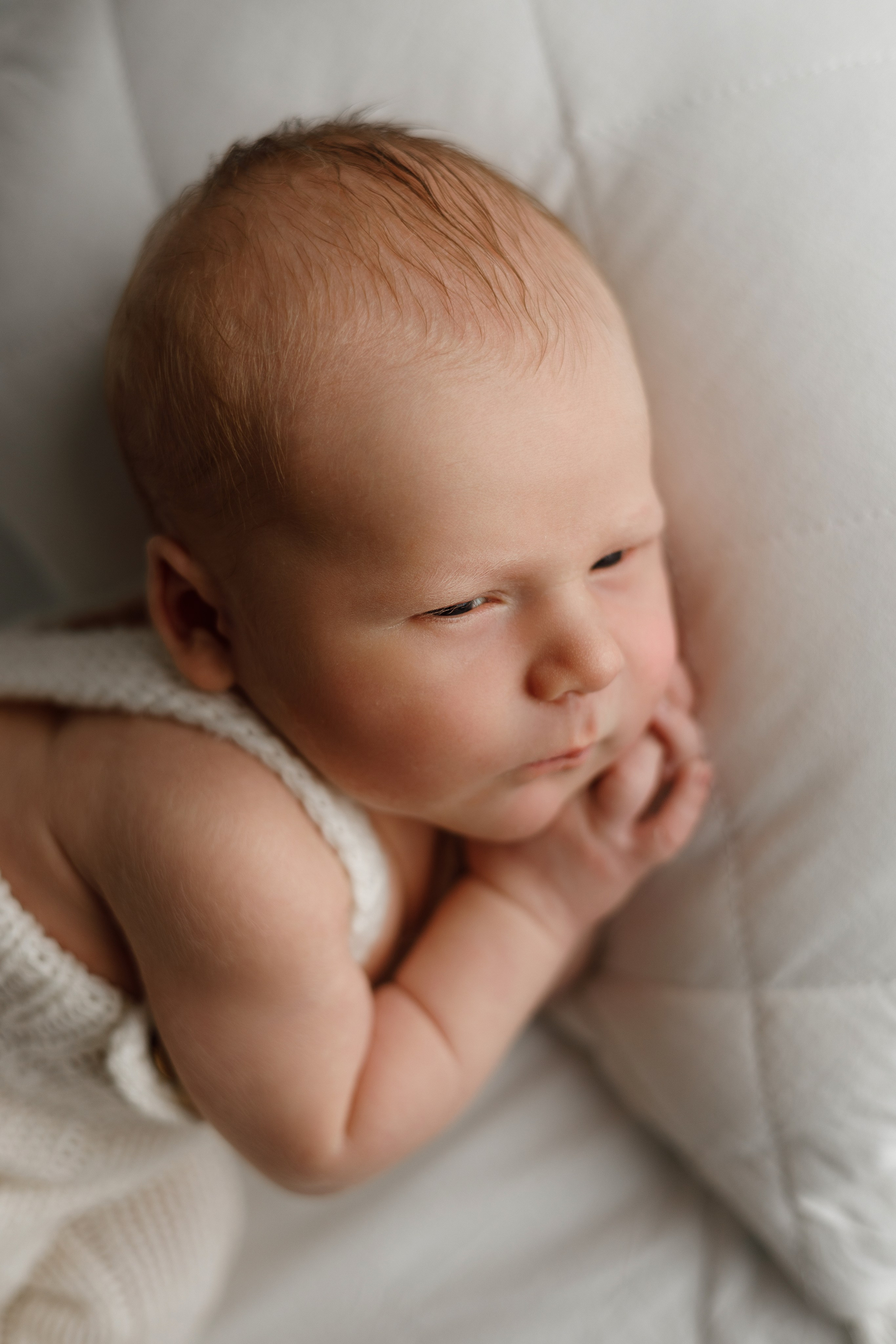 Лев пакет Малыш и семья с фотокнигой. Фотограф новорожденных ньюборн newborn в Краснодаре Алена Гребенькова