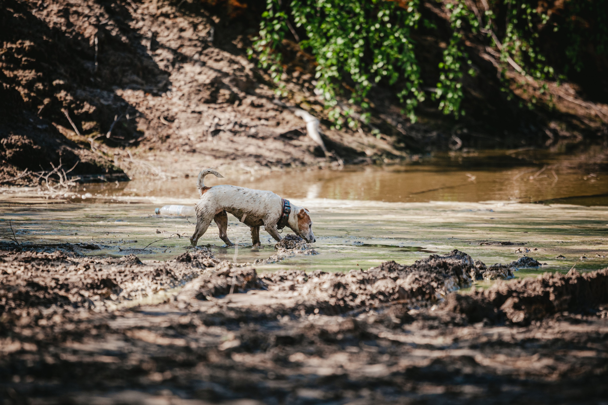 Кондуки. Фотограф-анималист Татьяна Степанова
