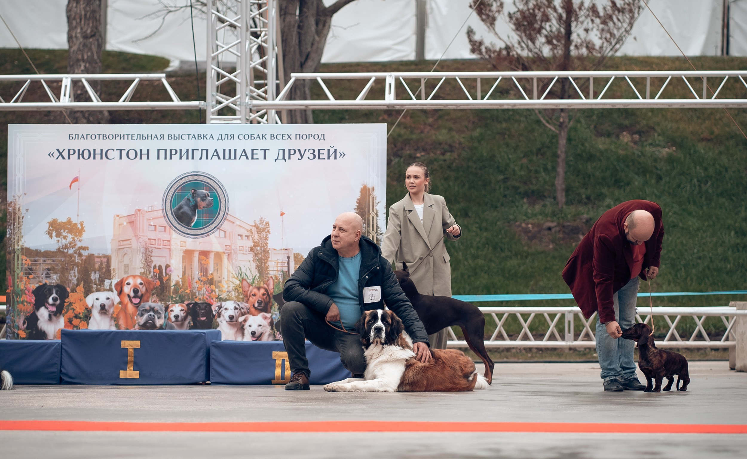 Благотворительная выставка собак в Новом Херсонесе г. Севастополь. Церковный фотограф Севастополь