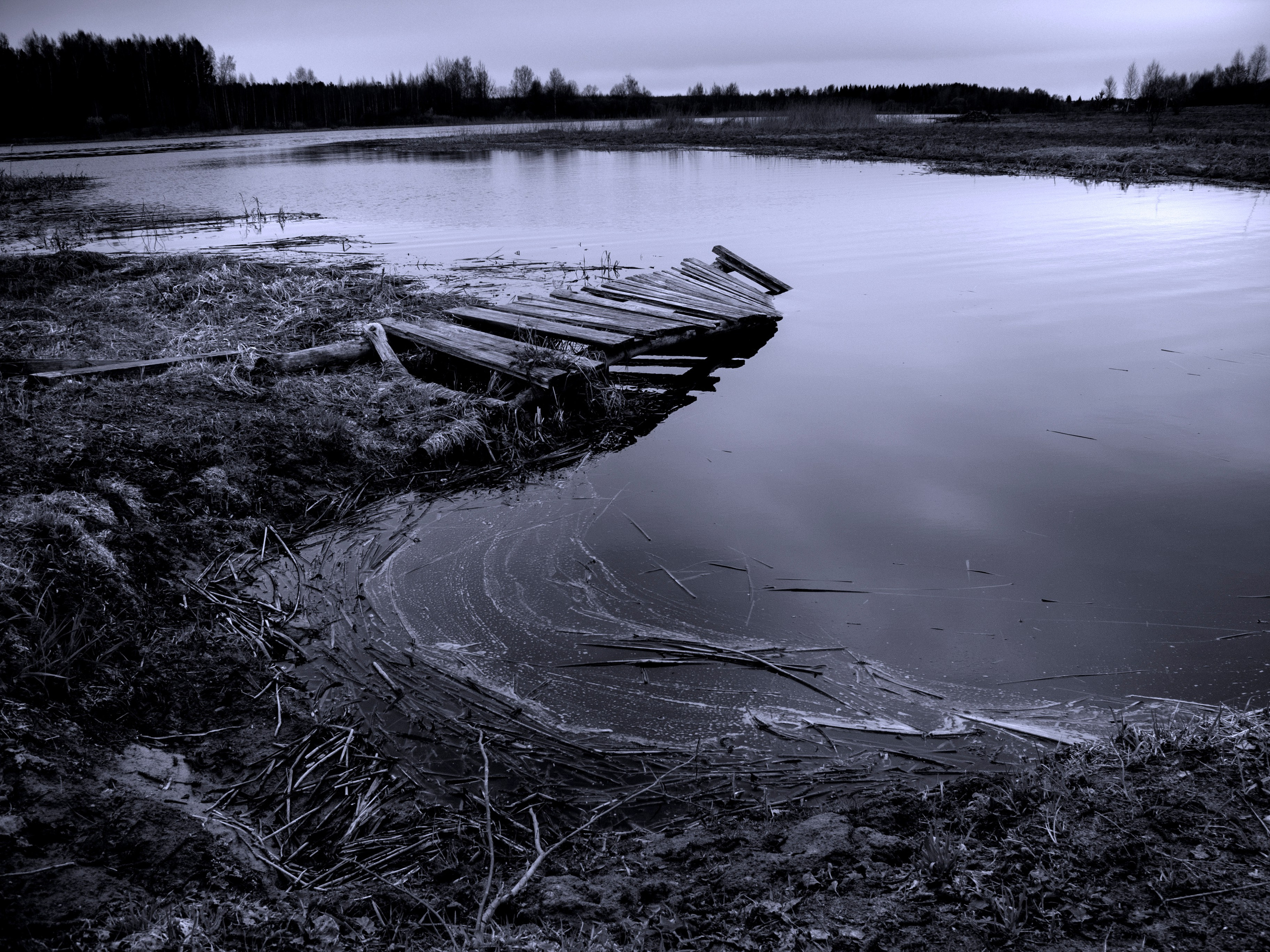 Фото. Фотограф Лагутин Анатолий