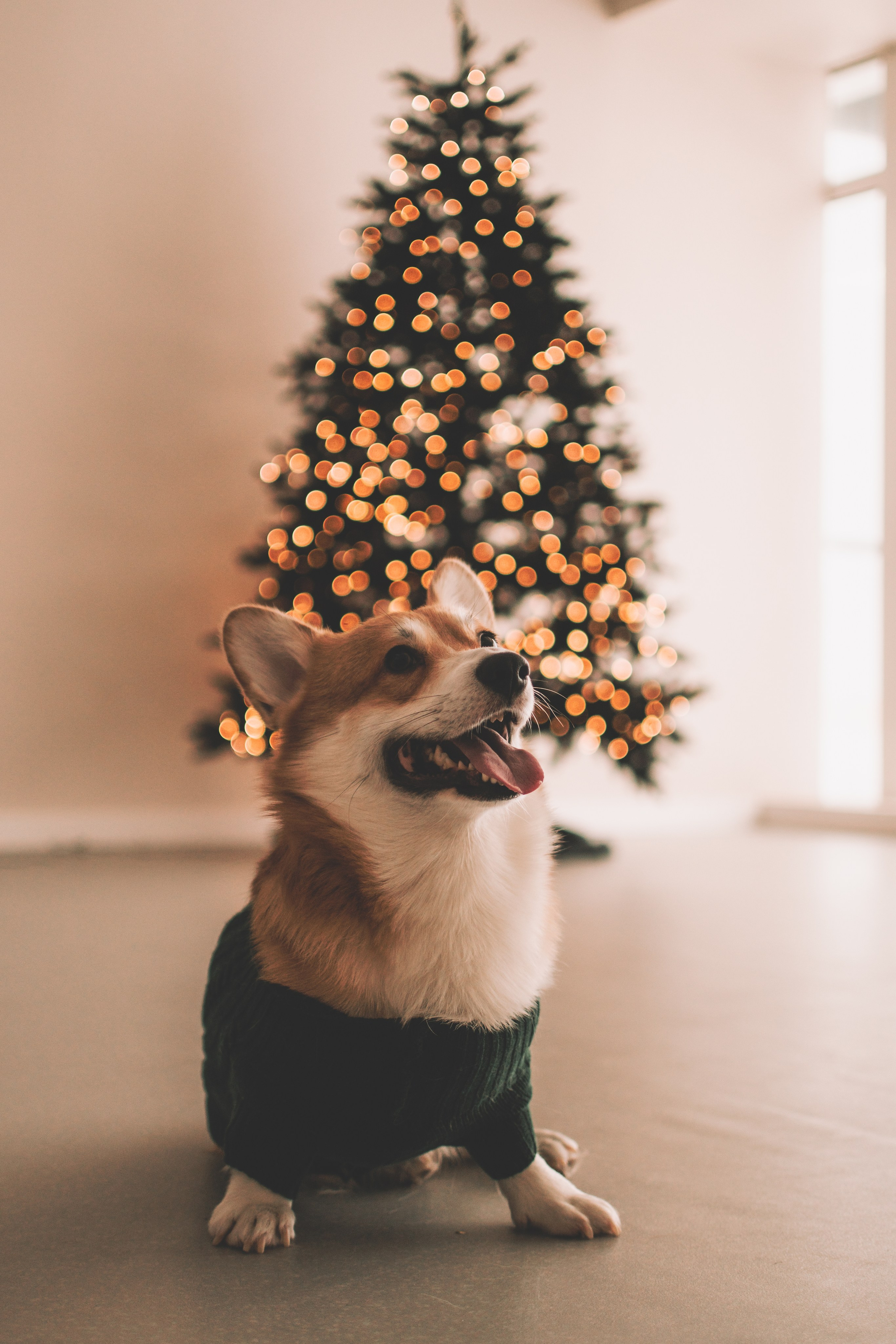 Евгения+Милкис. Семейный и свадебный фотограф Губкинский и Ставрополь