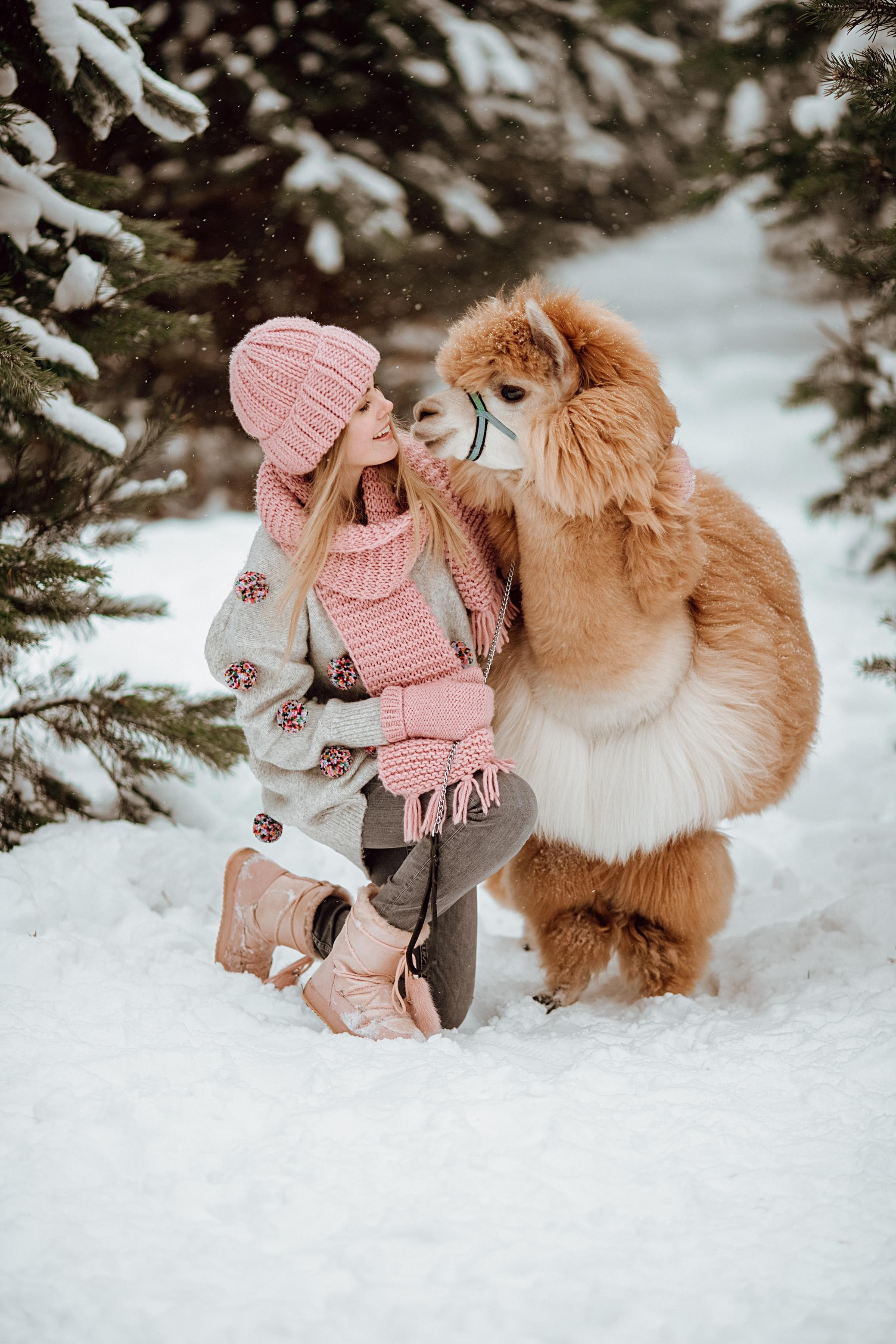 Winter wonderland. Алина Малышева, свадебный и семейный фотограф Москва