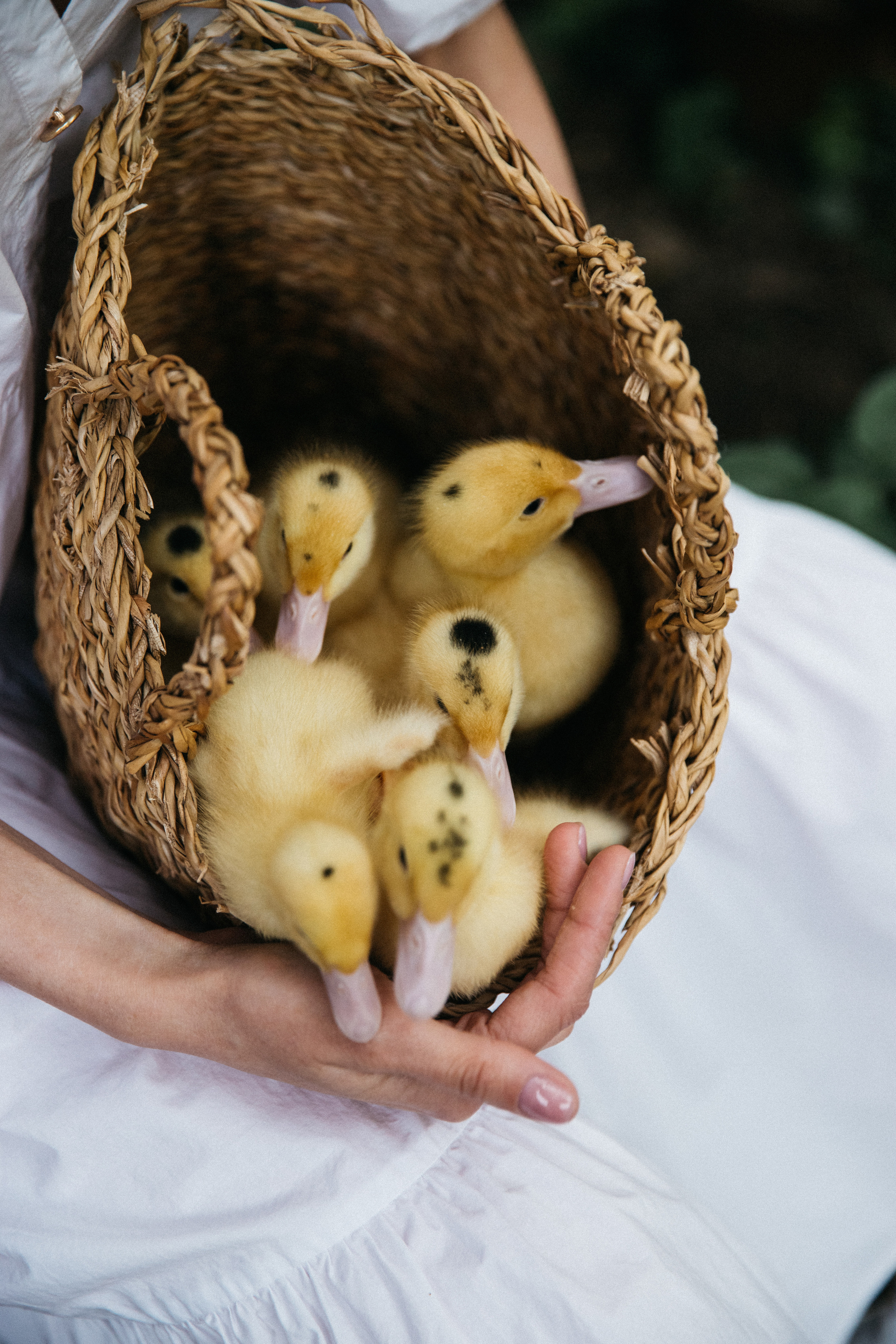 Лето на даче. Женский и семейный фотограф в Туле Катя Вуколова
