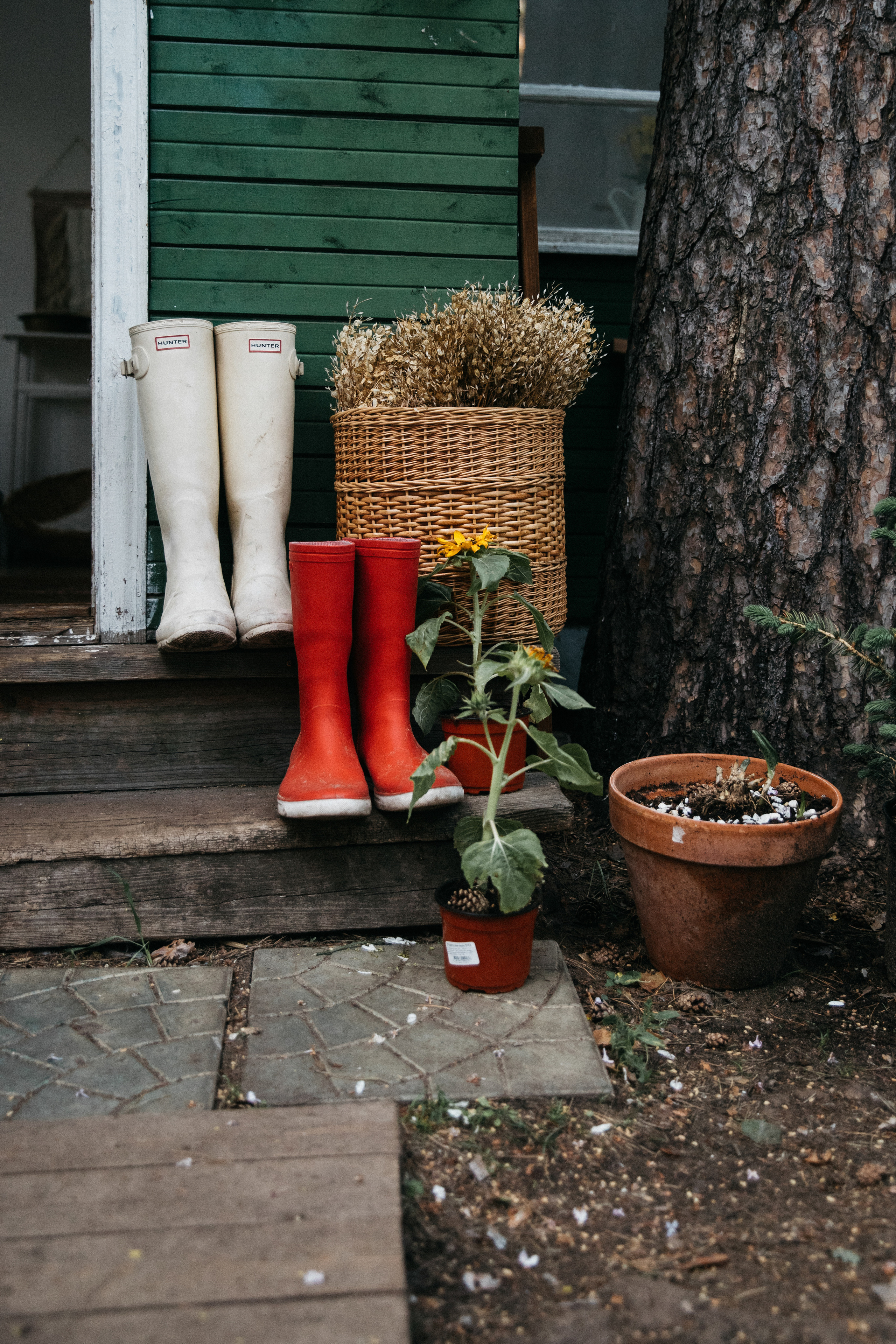 Лето на даче. Женский и семейный фотограф в Туле Катя Вуколова