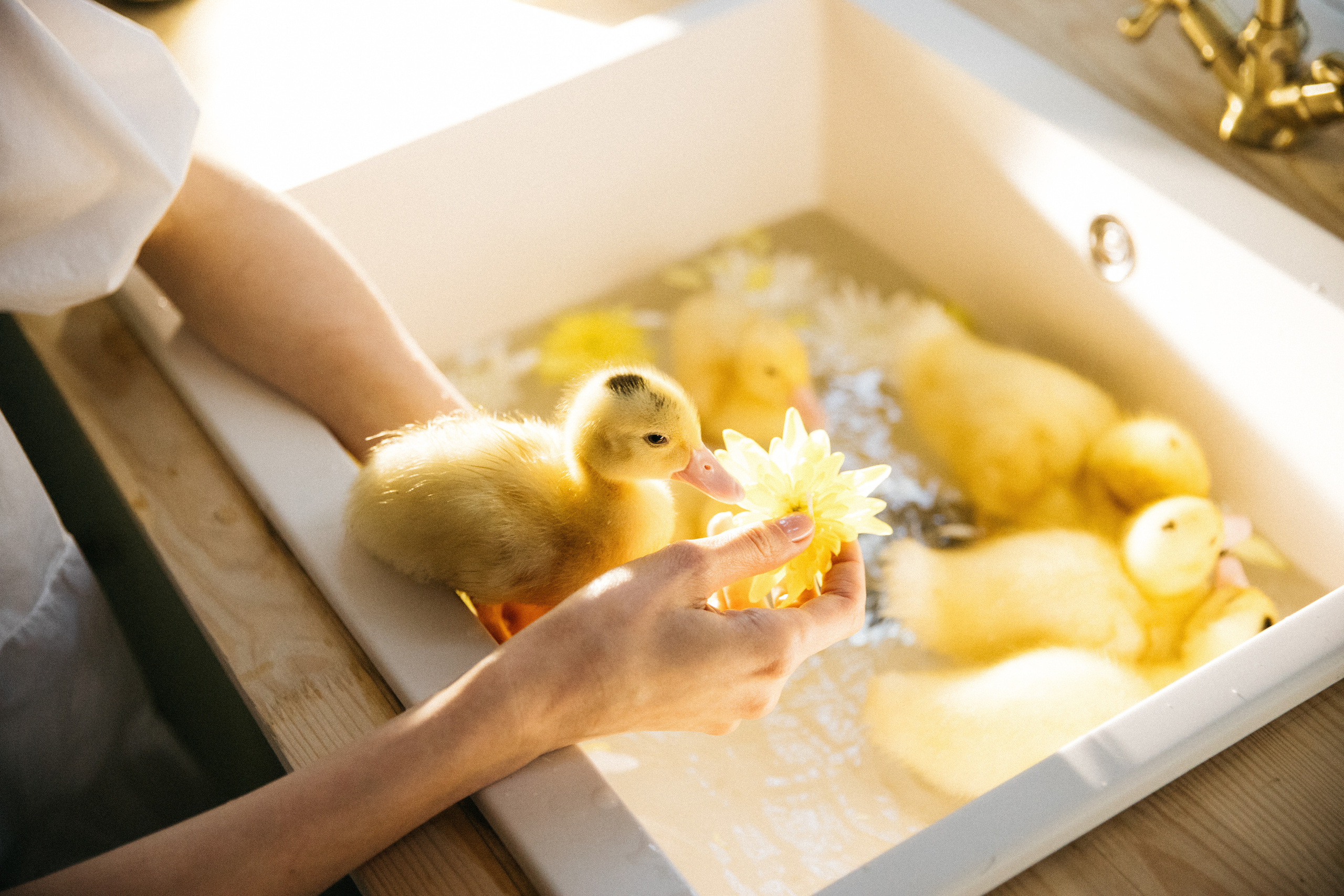 Лето на даче. Женский и семейный фотограф в Туле Катя Вуколова