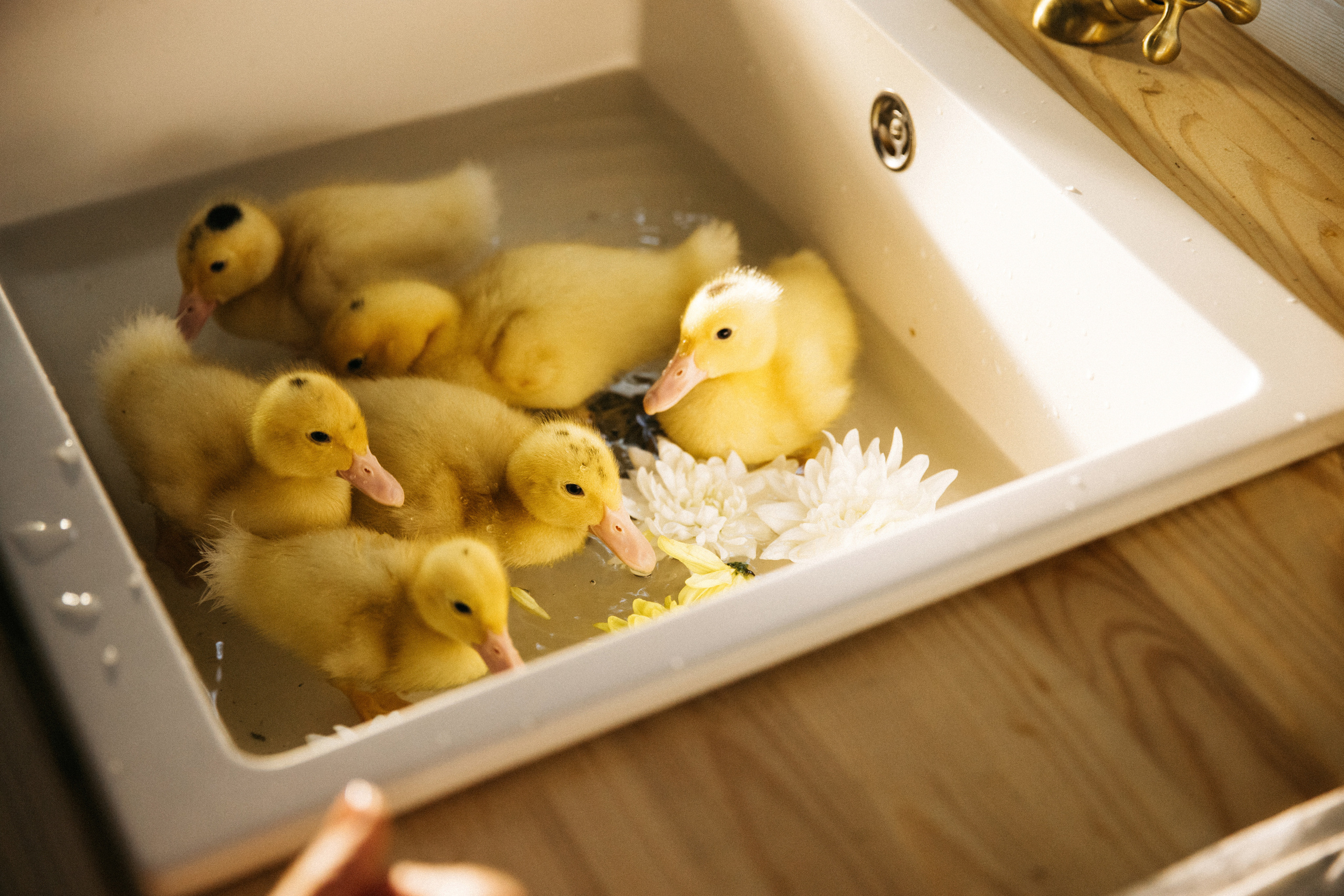 Лето на даче. Женский и семейный фотограф в Туле Катя Вуколова