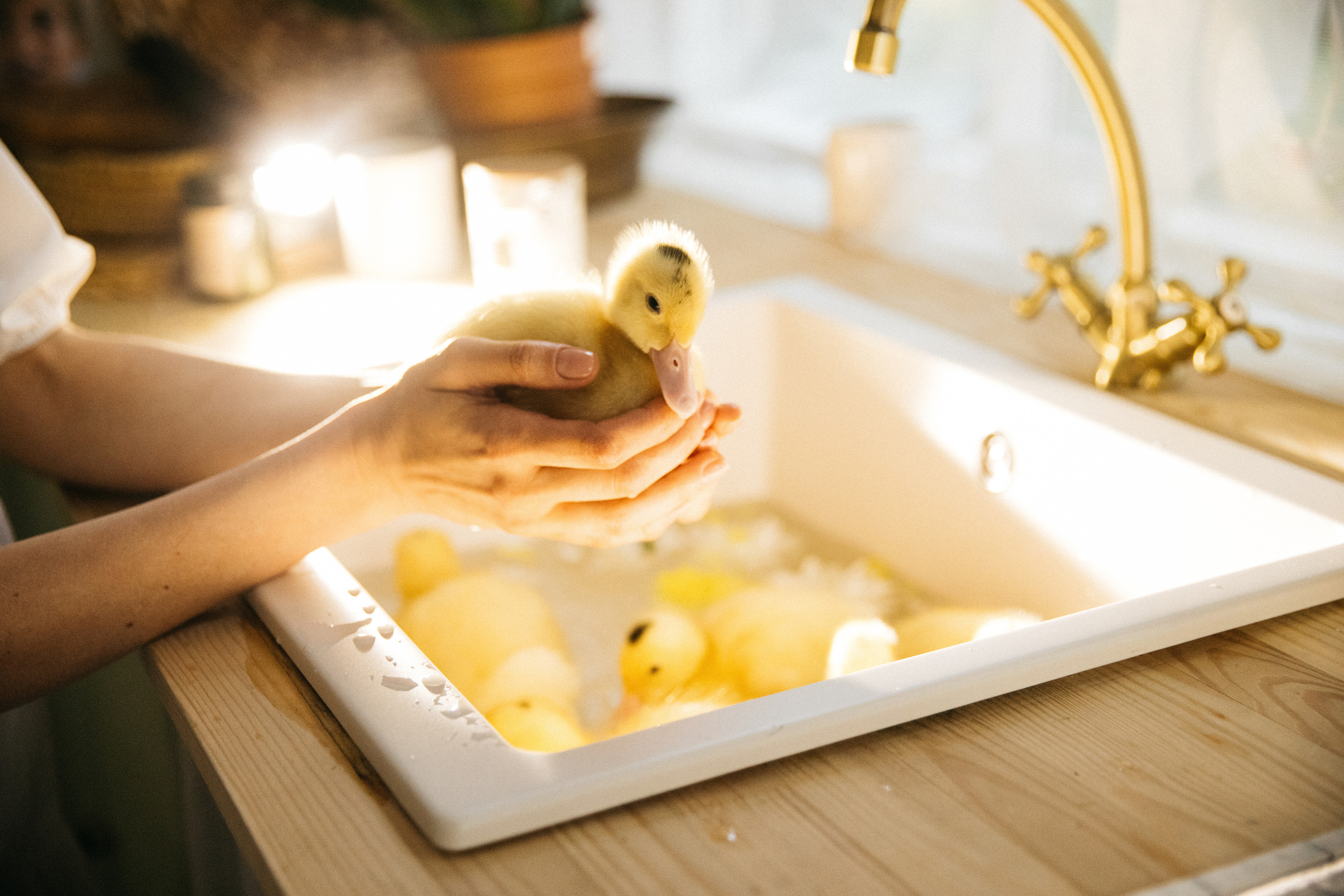 Лето на даче. Женский и семейный фотограф в Туле Катя Вуколова