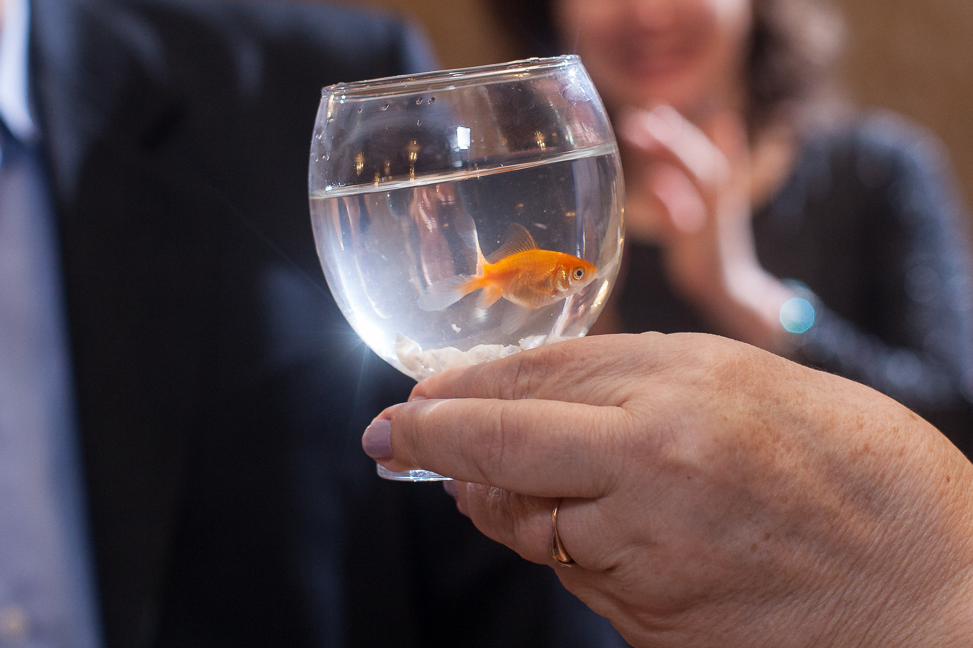 ЗолотаяСвадьба