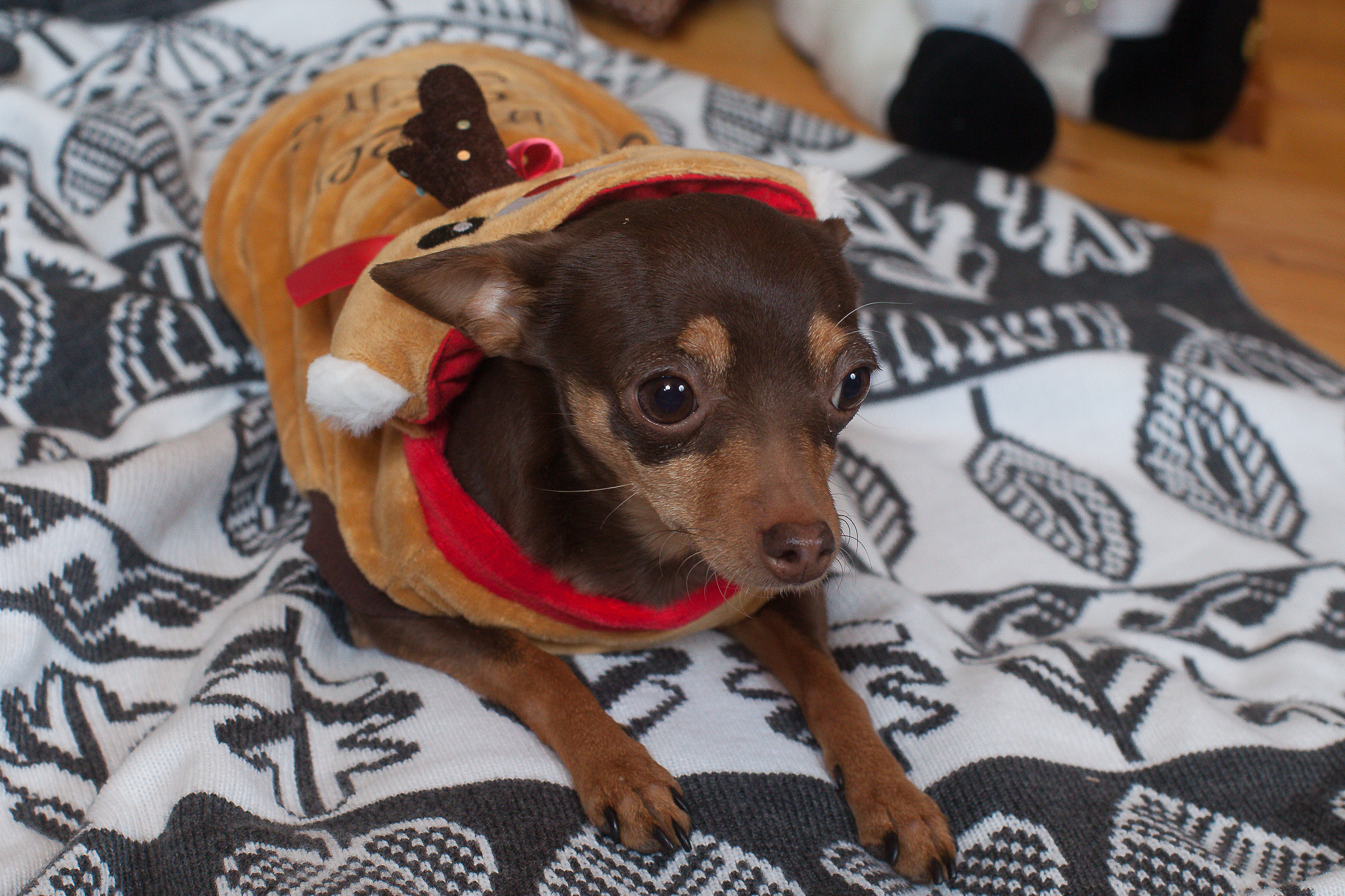 2022_01_05_Семейная-ф/с