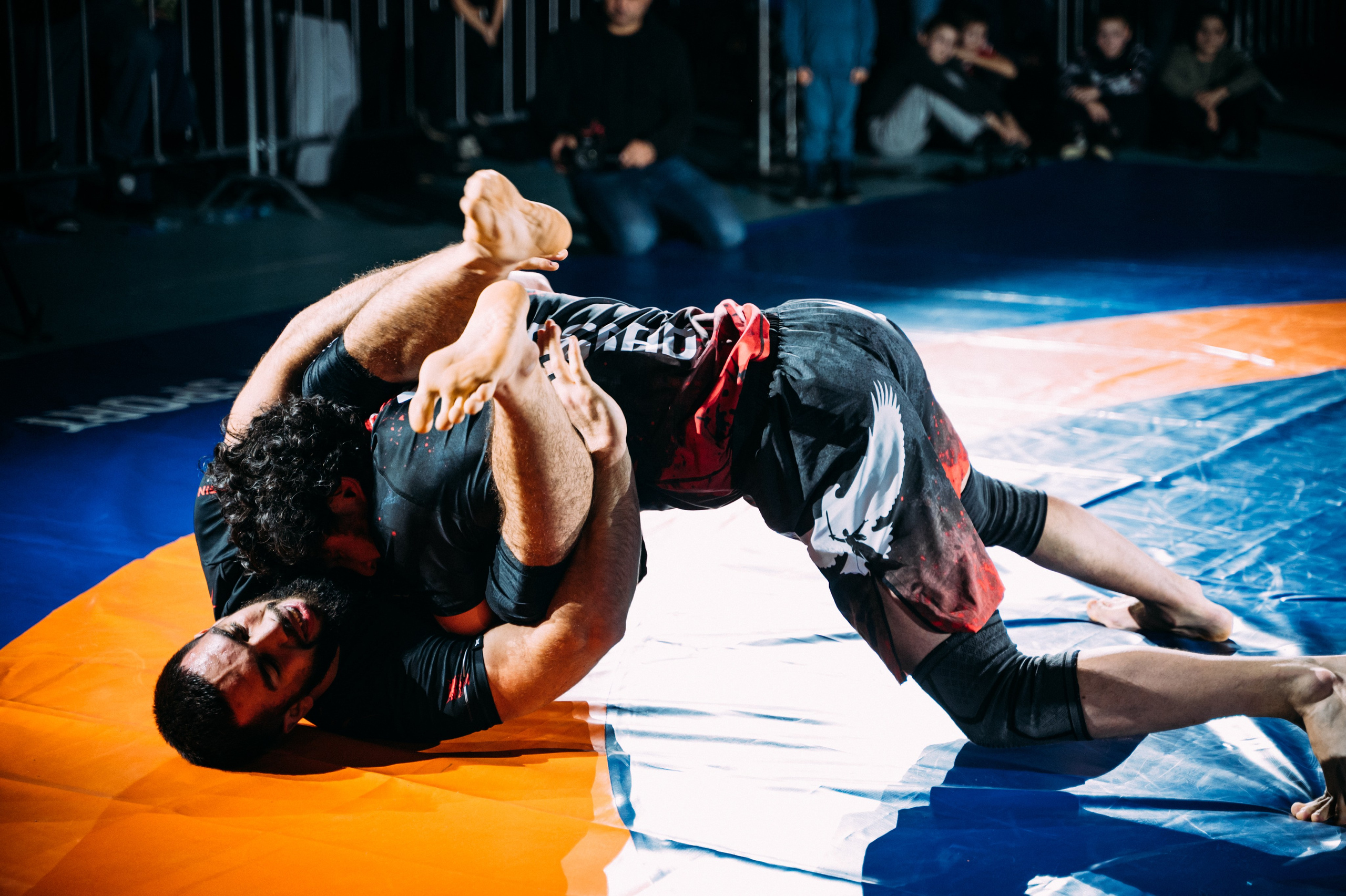 Грэпплинг. Матчевая встреча Волгоград vs Саратов. Фотограф в Волгограде Марина Черных