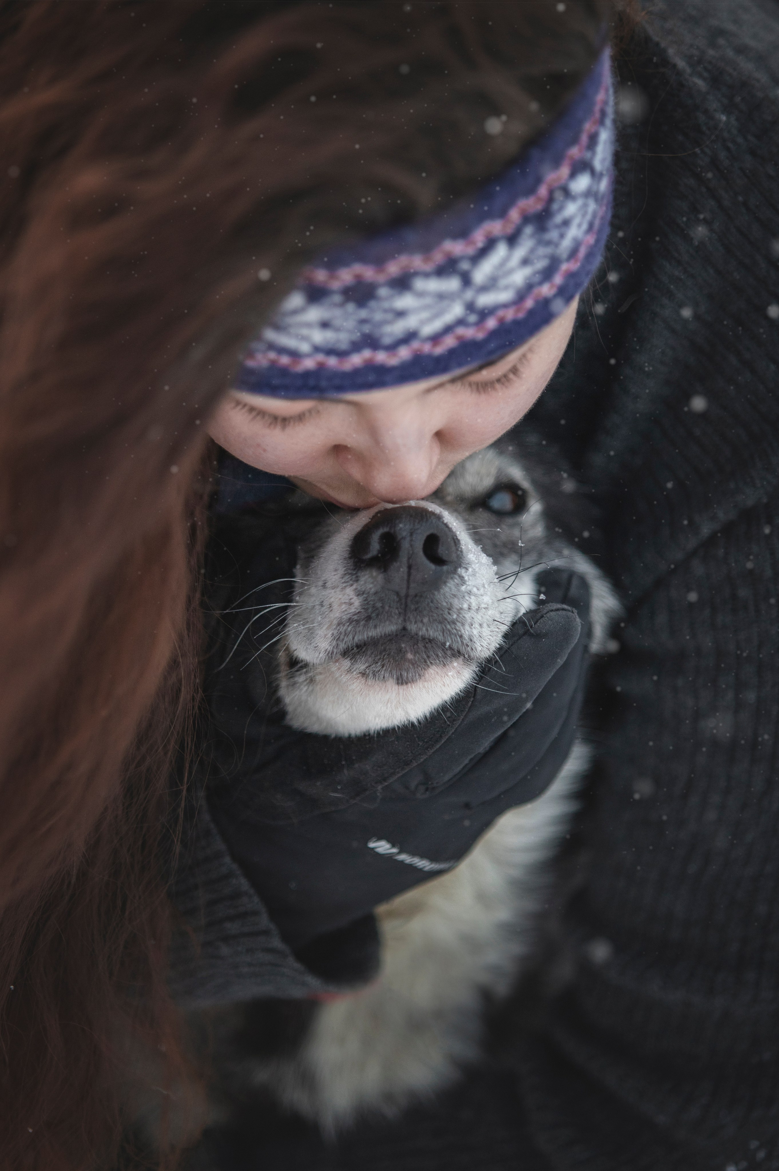 Фотограф Москва, Сергиев Посад