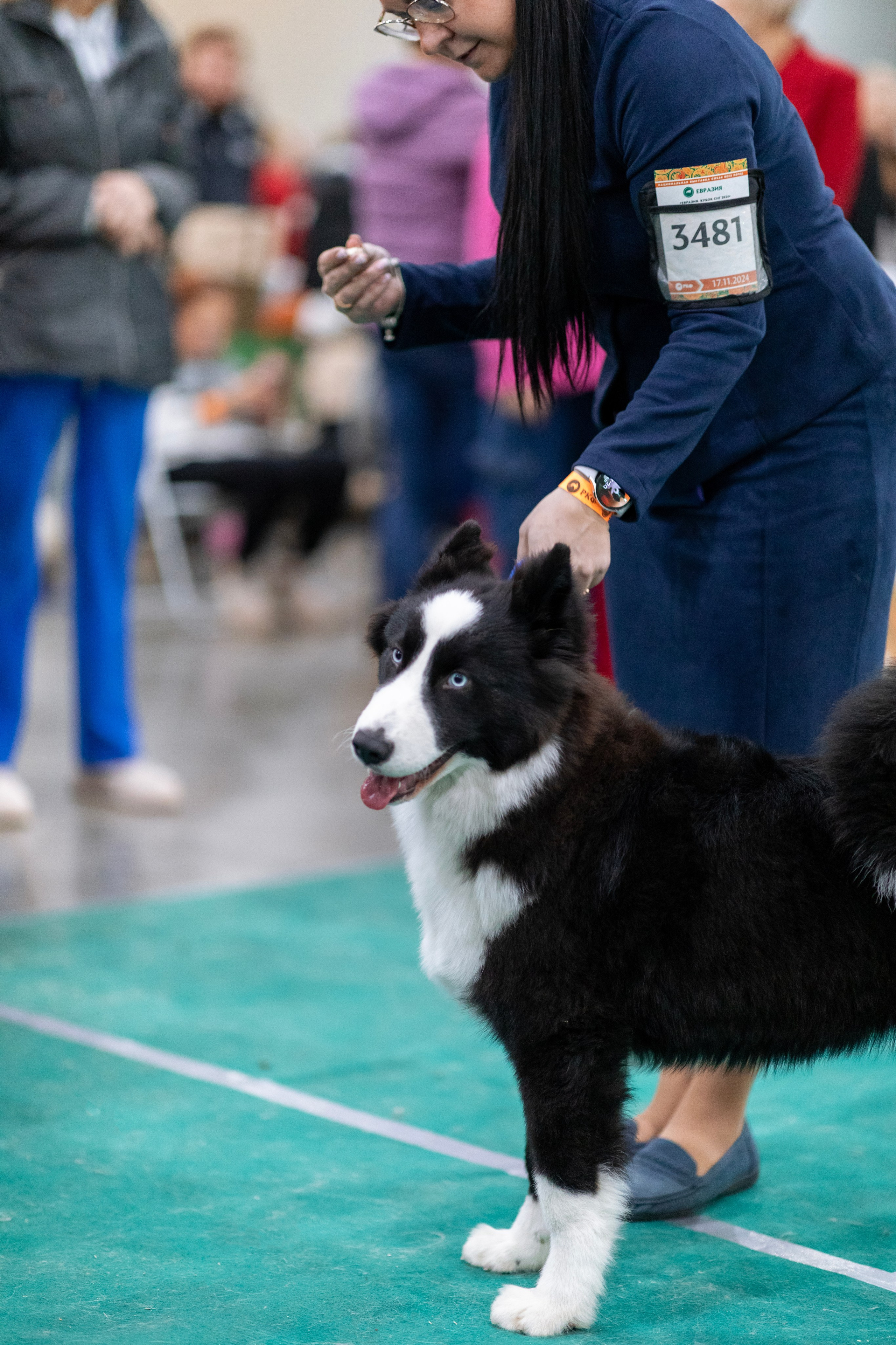 Евразия. Фотограф — анималист Татьяна Ли