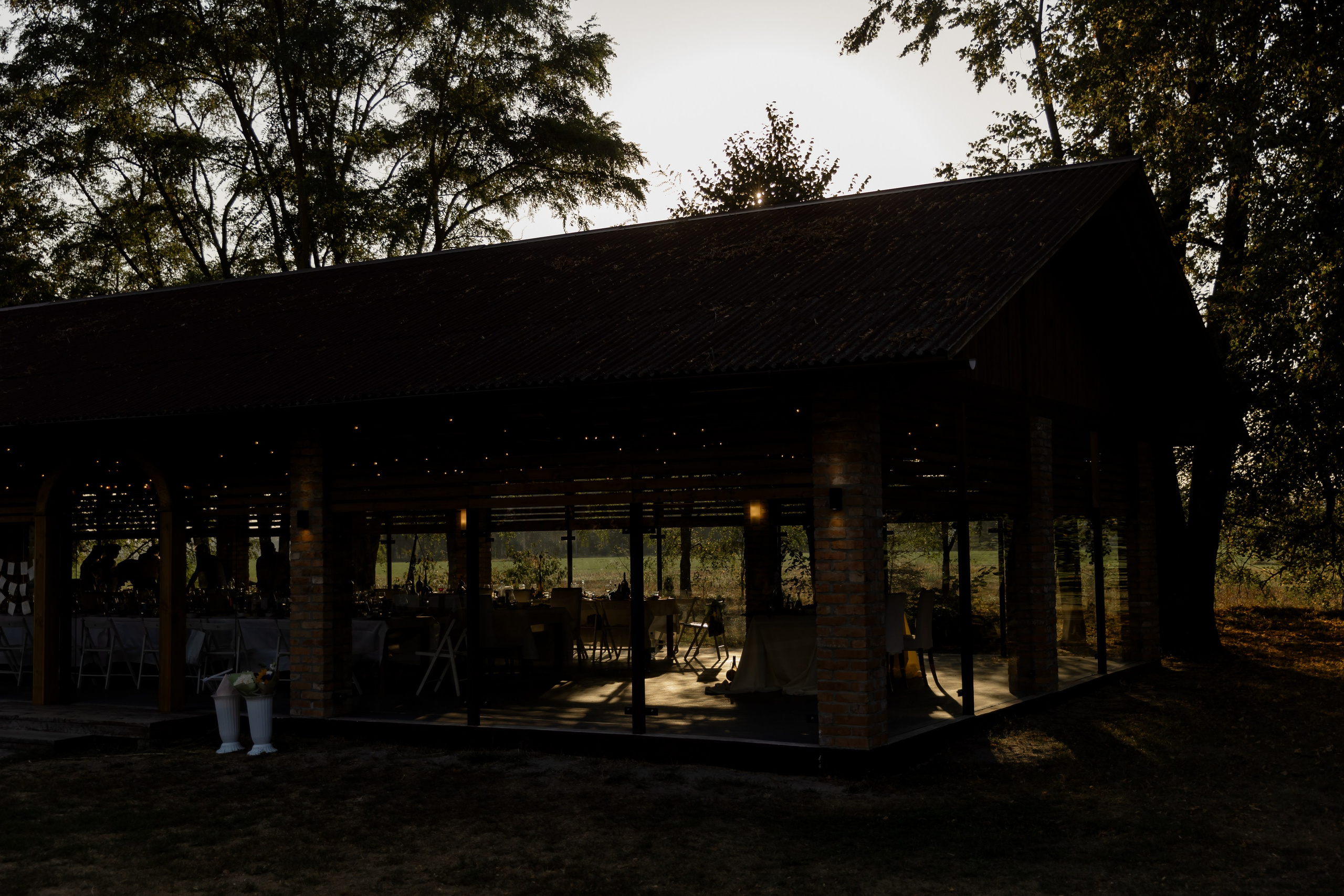 Виноградники. Dima Lemeshevsky