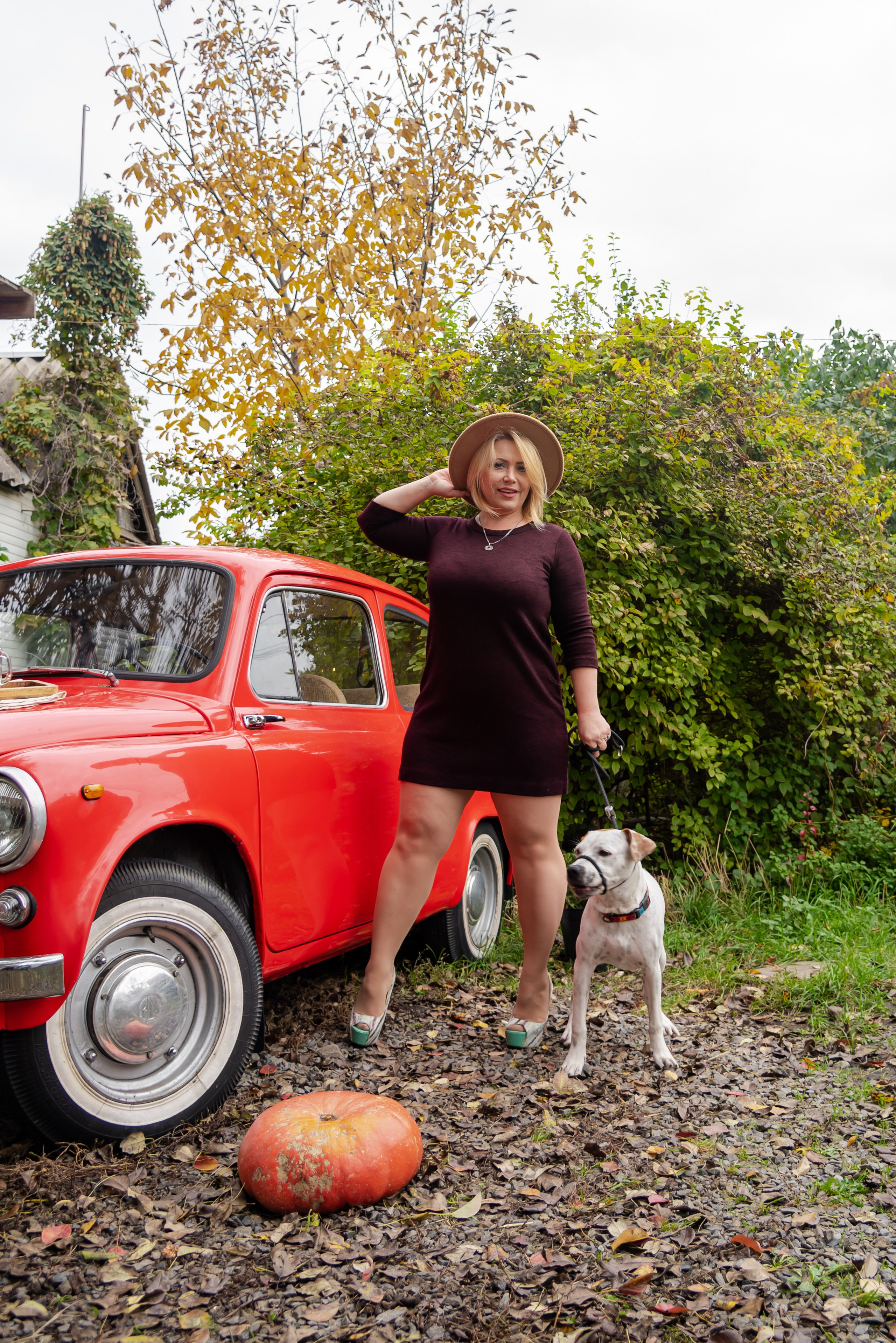 Авакадо. Фотограф Галина Нестерова